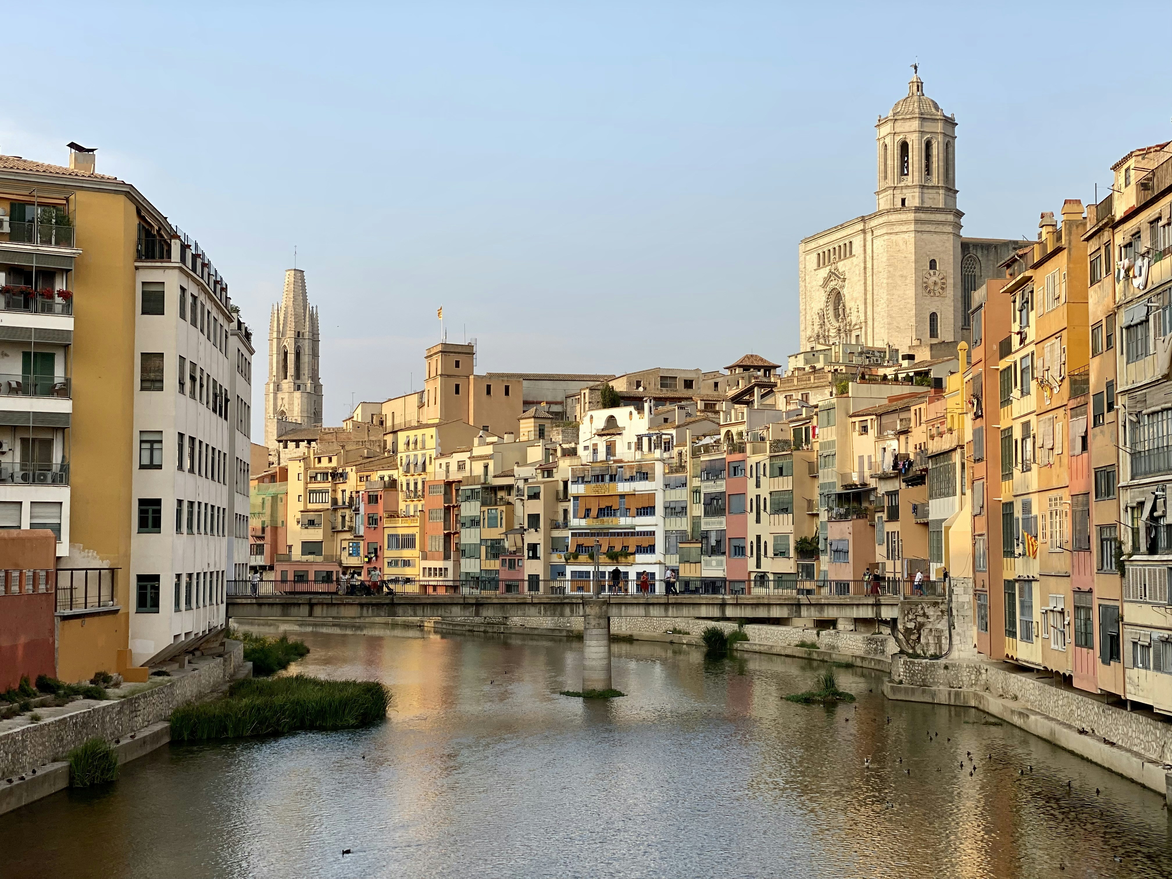 Top 50 Expertos en Software en Girona