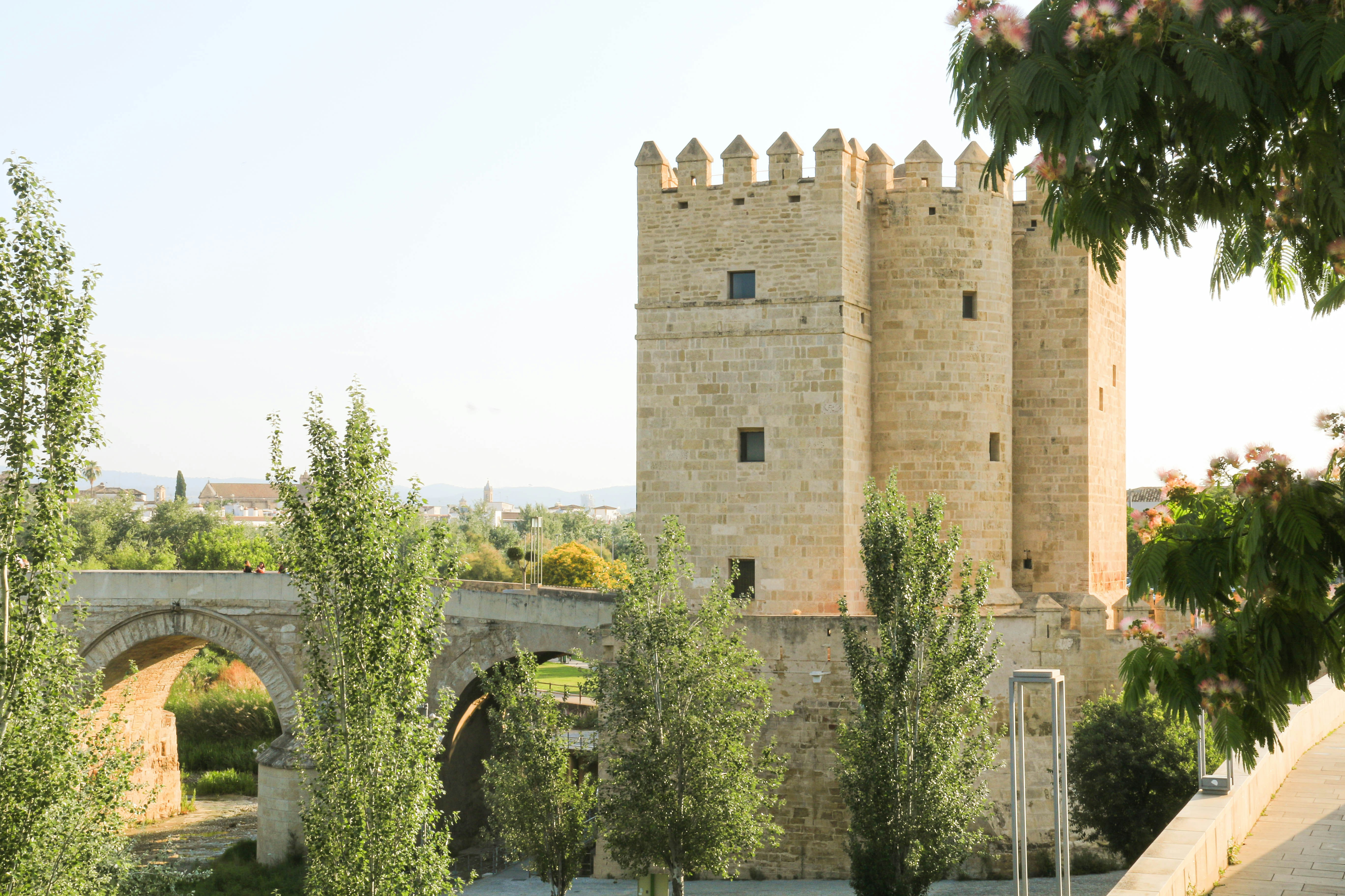 Top 10 Expertos en control de calidad automatizado de lotes en Córdoba