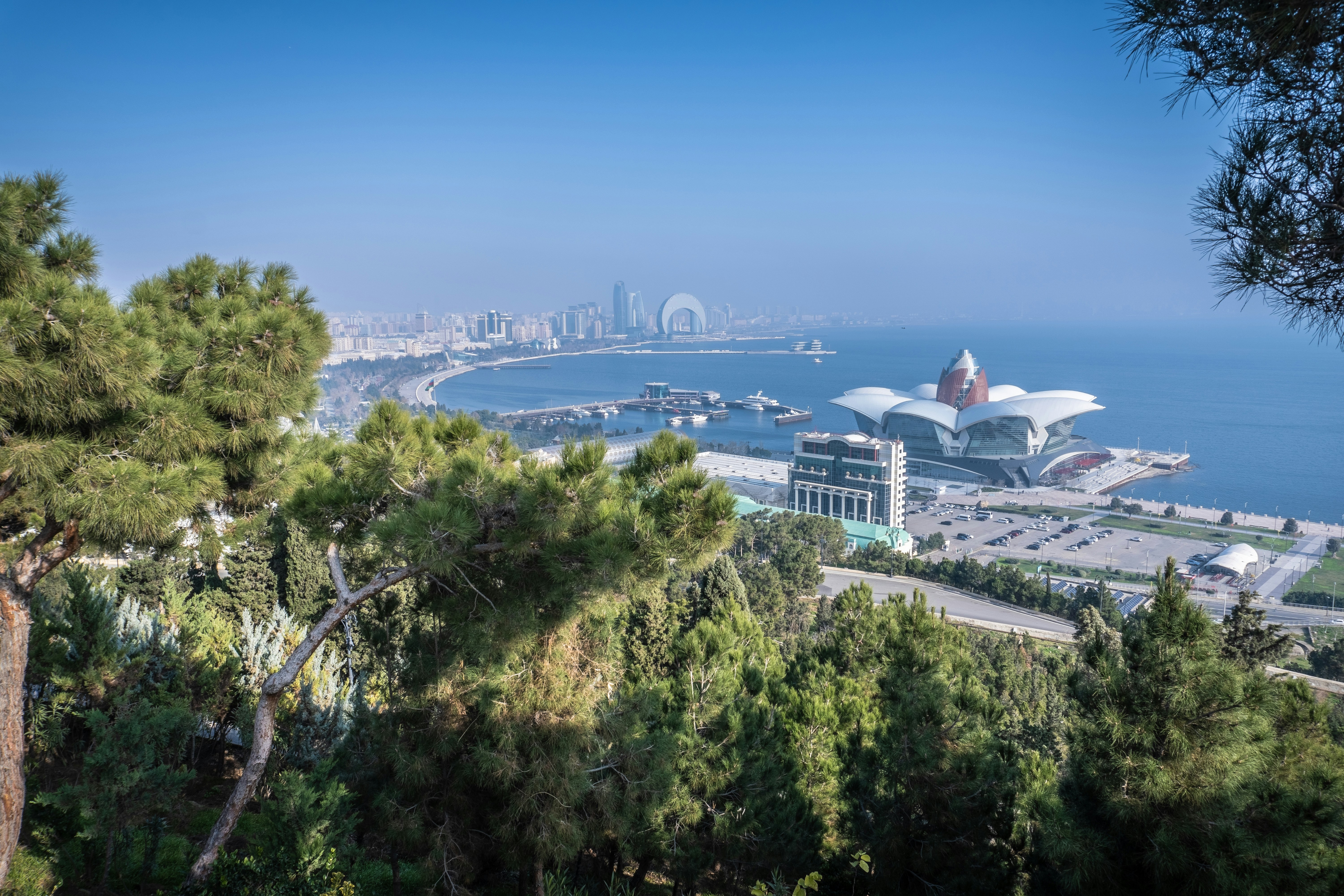 Los 3 principales expertos en servicios de inteligencia artificial en Marbella