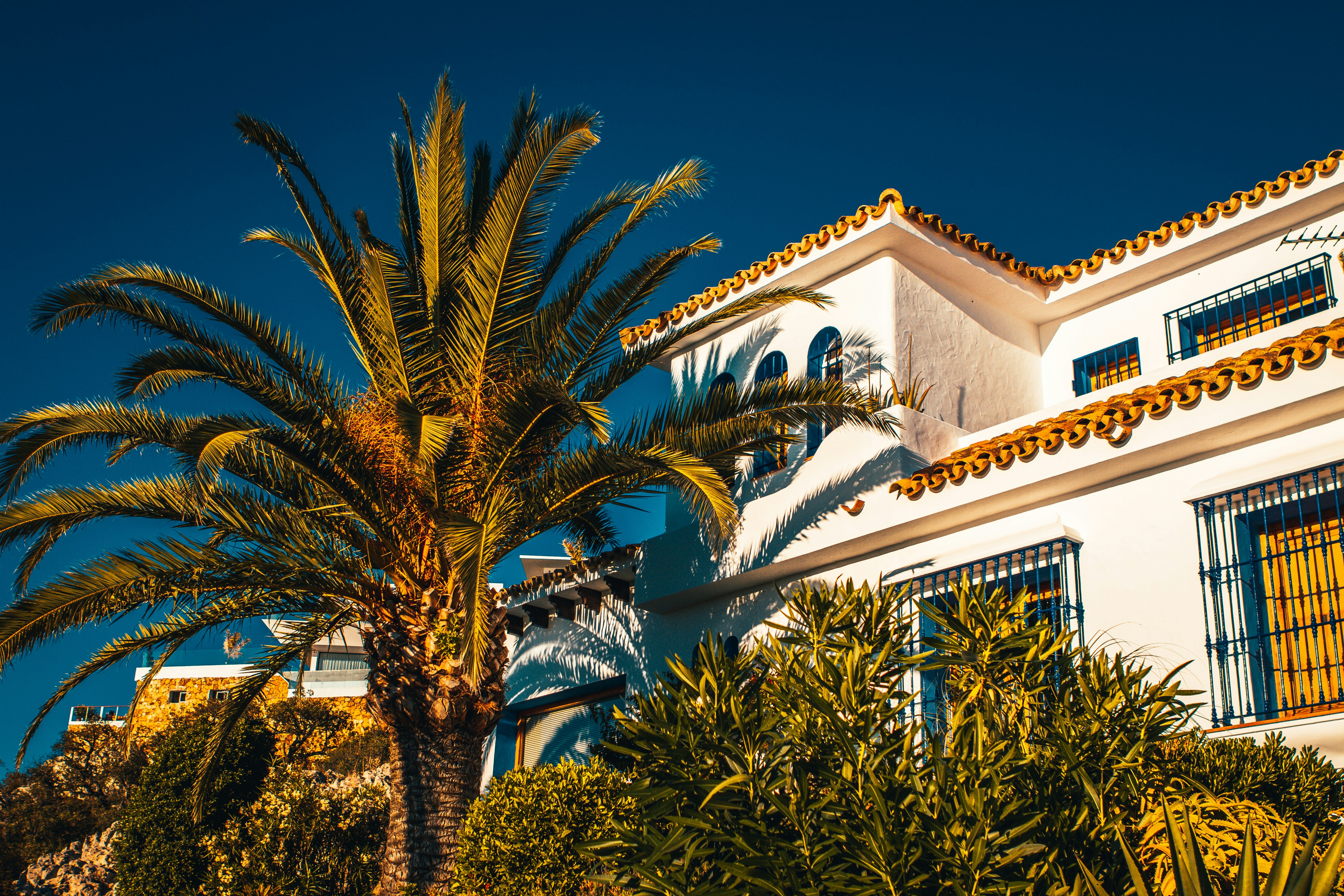 Top 3 Expertos en n8n en Marbella