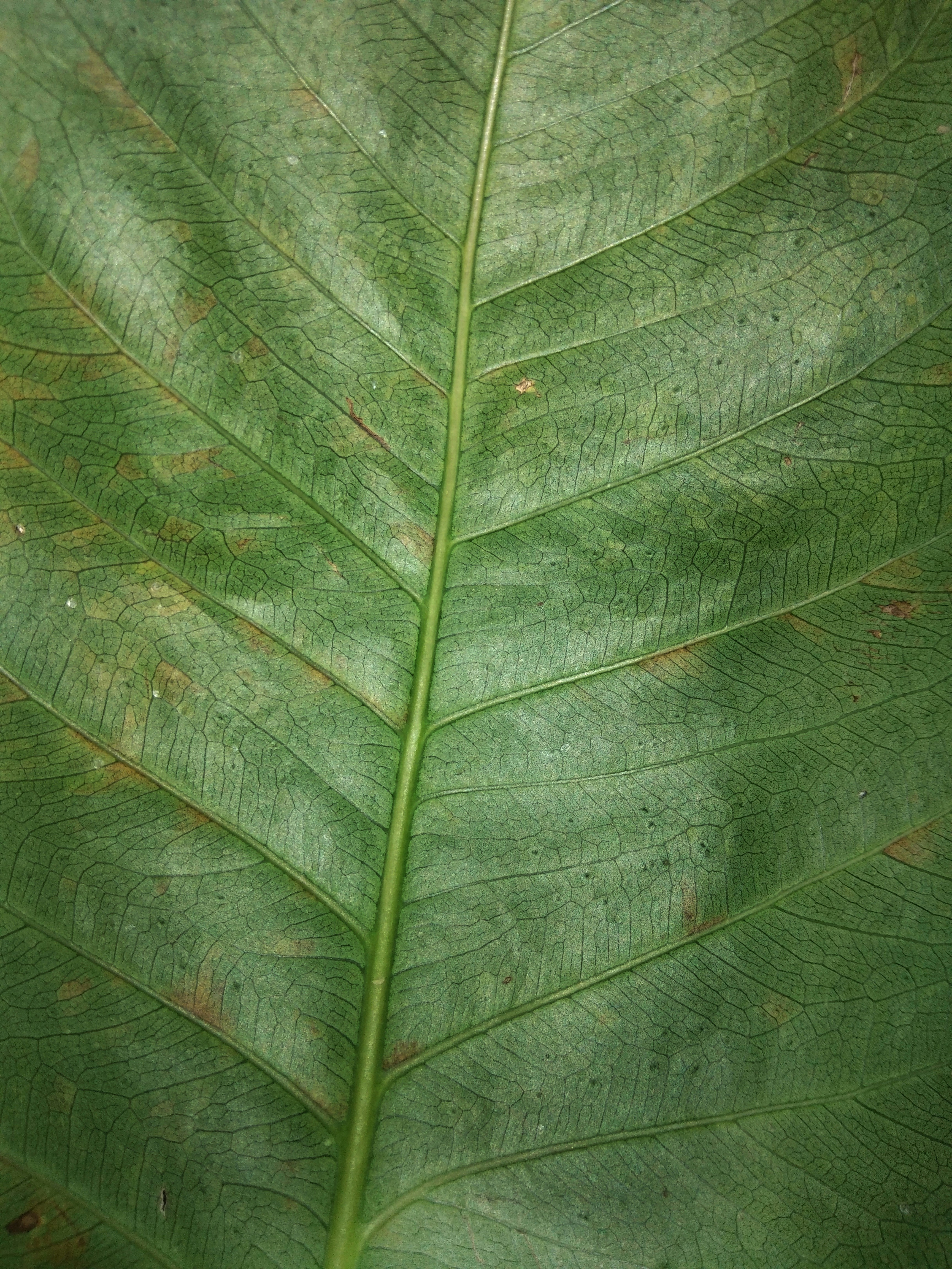 Los 50 mejores expertos en pasar de las hojas de cálculo a la automatización en Málaga 2026