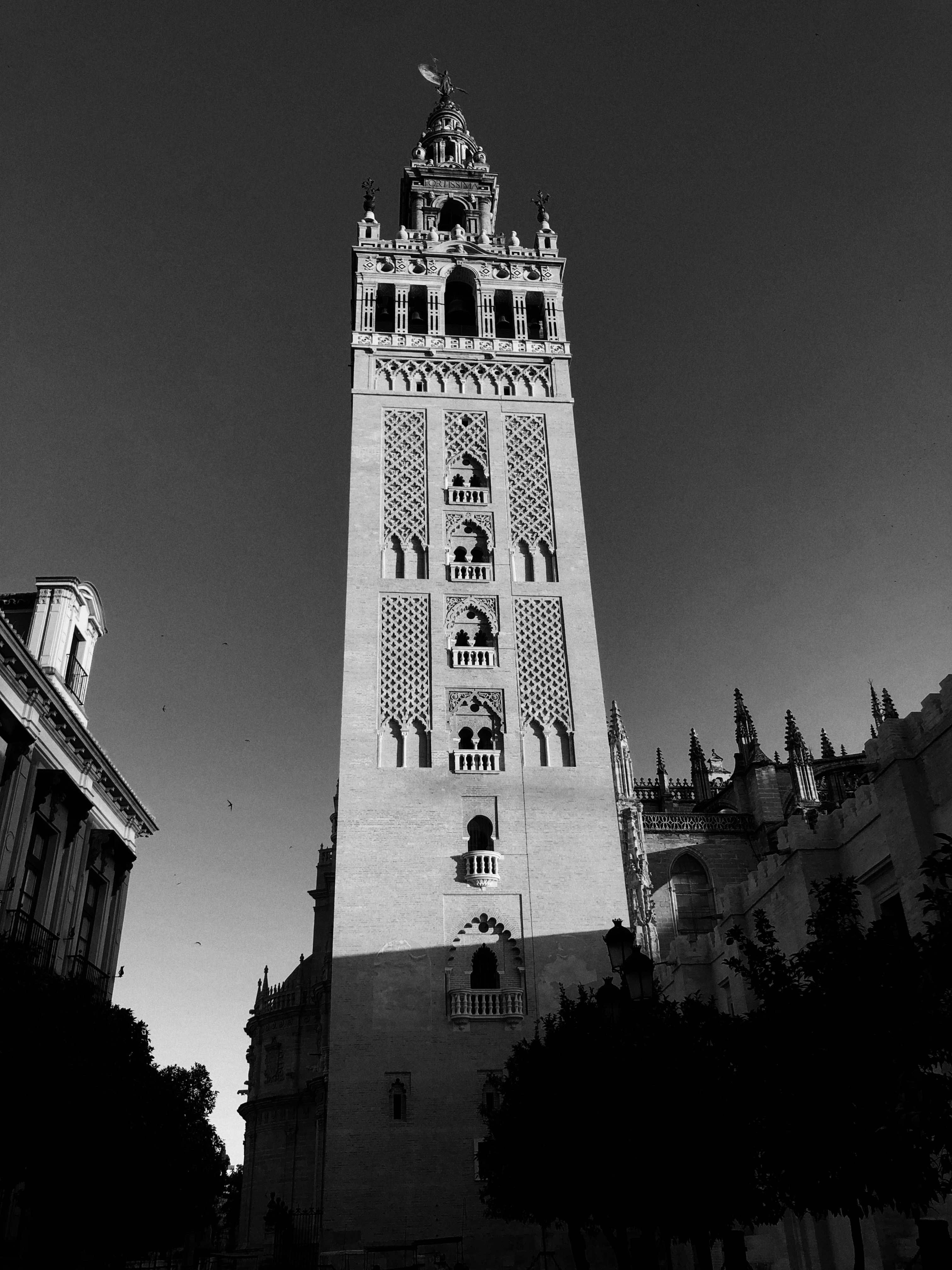 Los 15 mejores expertos en bots de Telegram en Sevilla