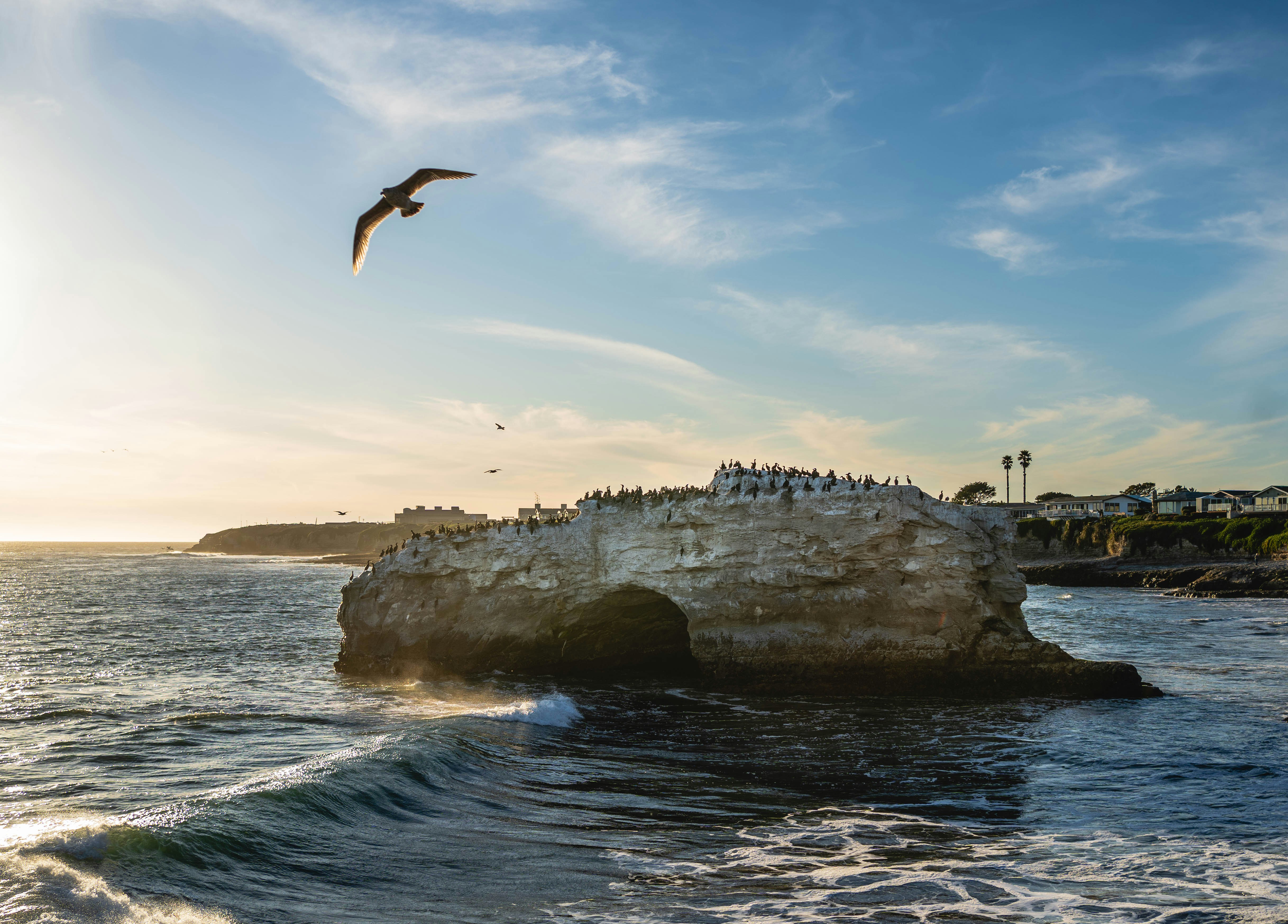Los 10 mejores expertos en generación dinámica de anuncios en Santa Cruz de Tenerife