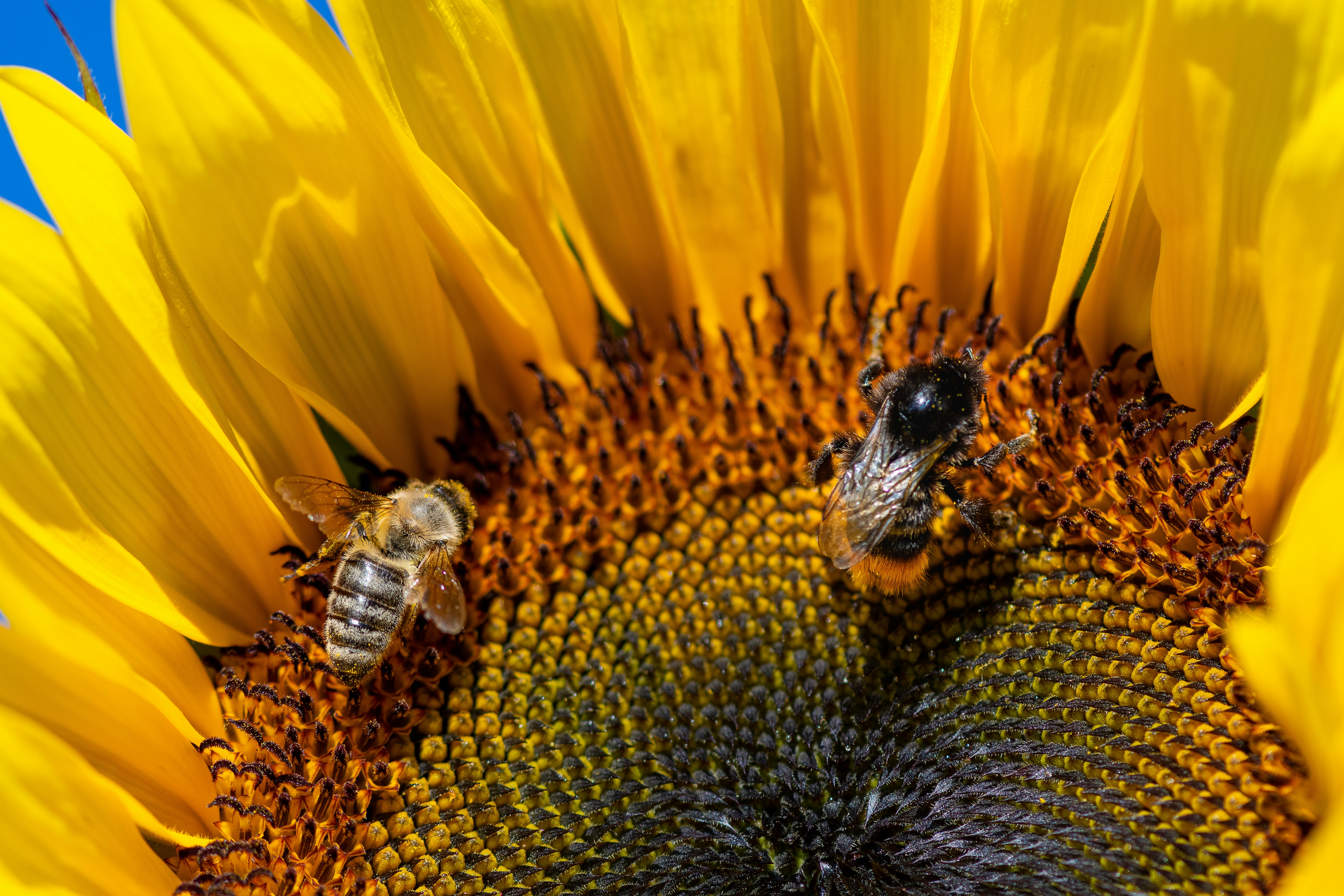 Top 3 Expertos en integración de API para sistemas heredados en Bilbao