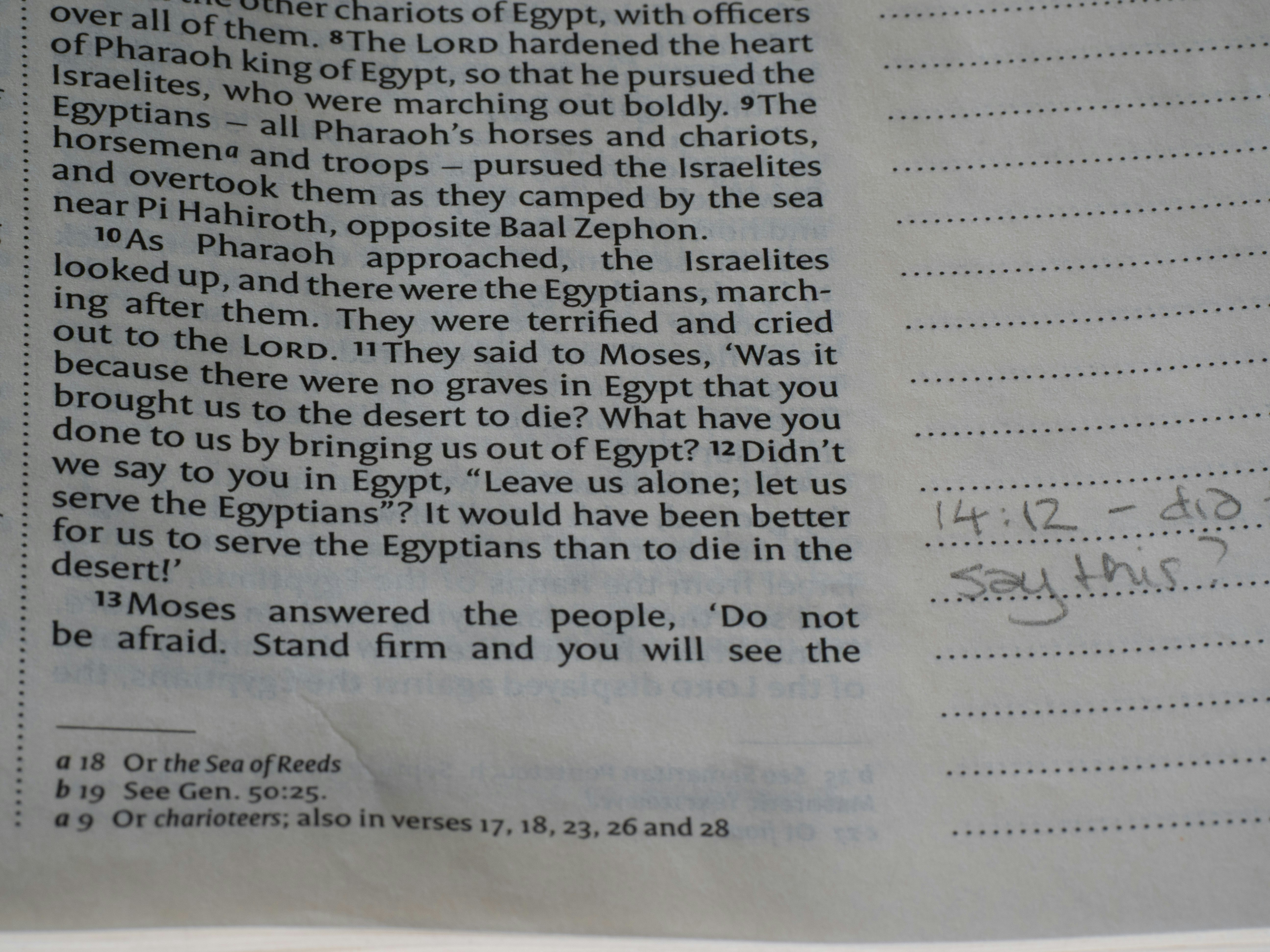 Top 15 Expertos en migración de automatizaciones a n8n en Sevilla