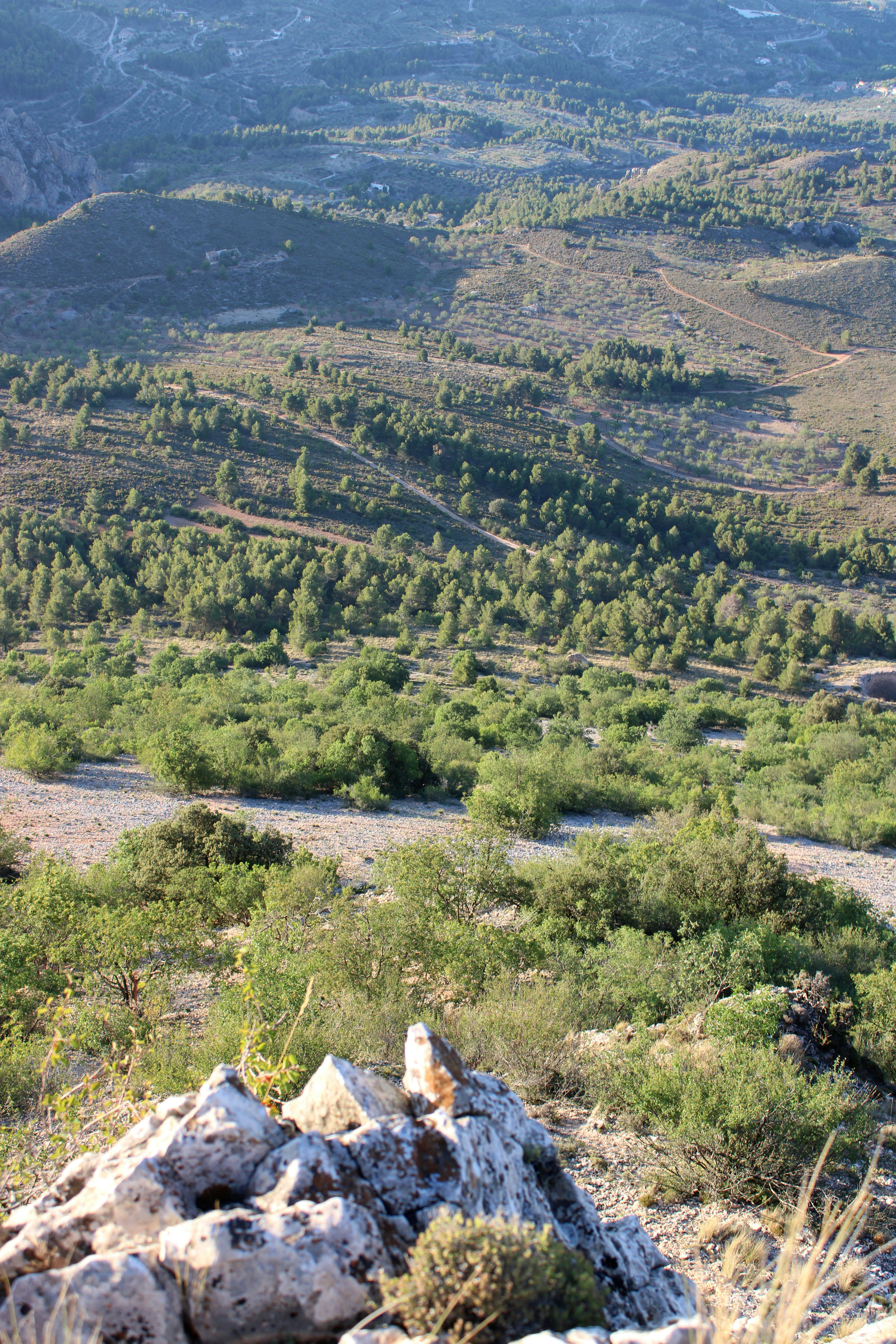 Top 15 Expertos en migrar extensiones de JDE a la web moderna en Valladolid 2026