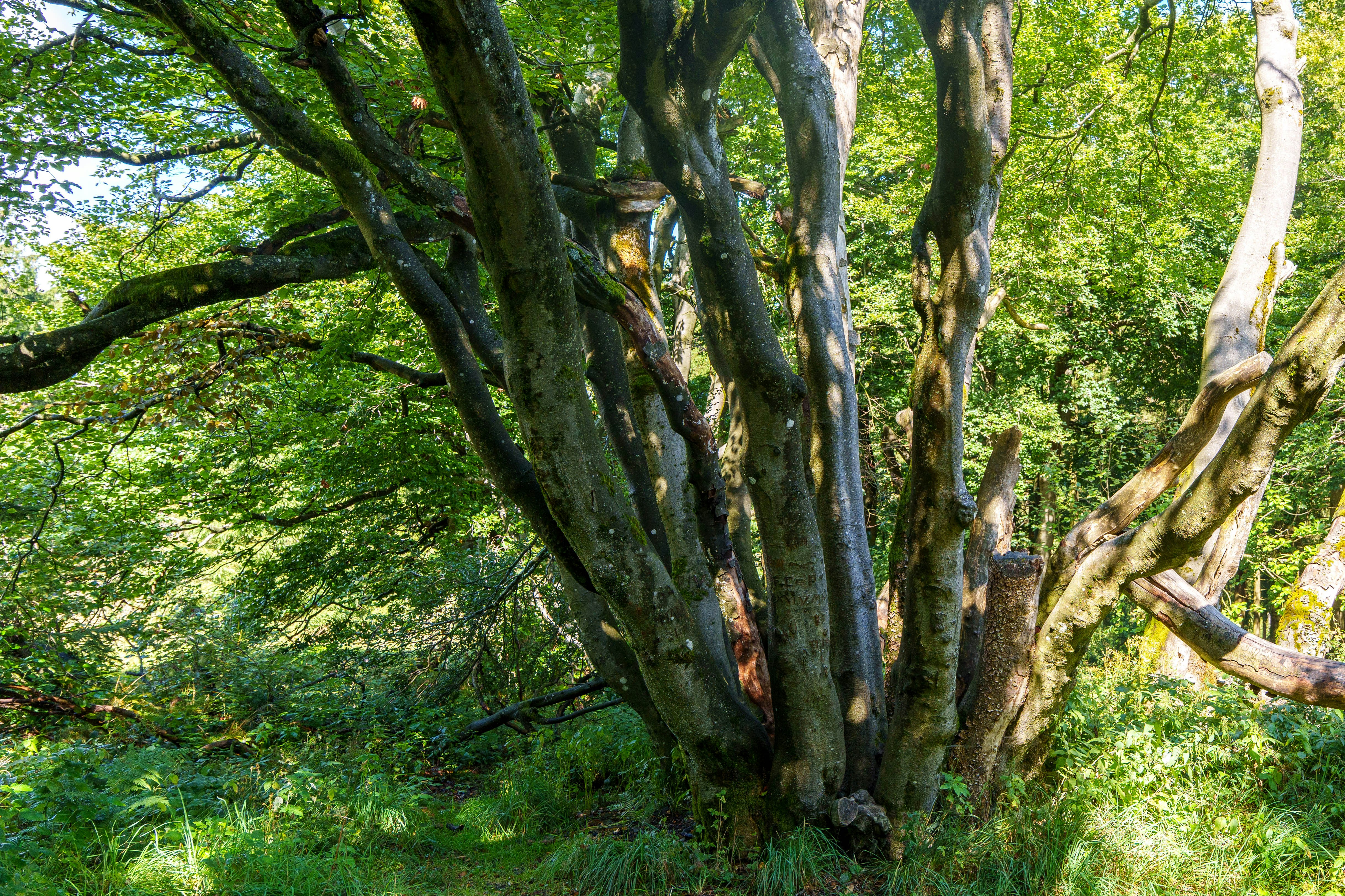 Top 15 Expertos en n8n en Alberite