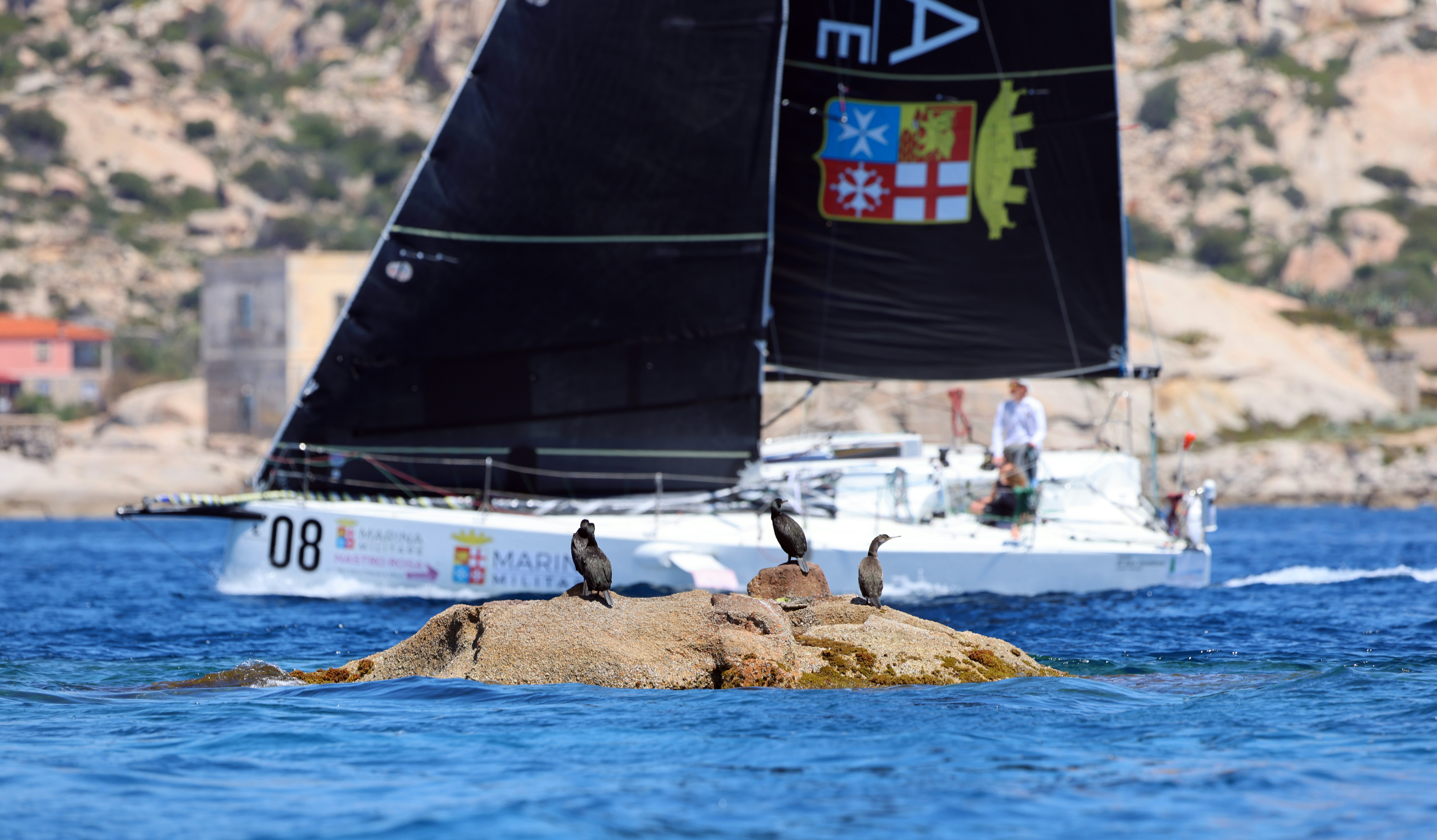 Los 3 mejores expertos en n8n en Roquetas de Mar