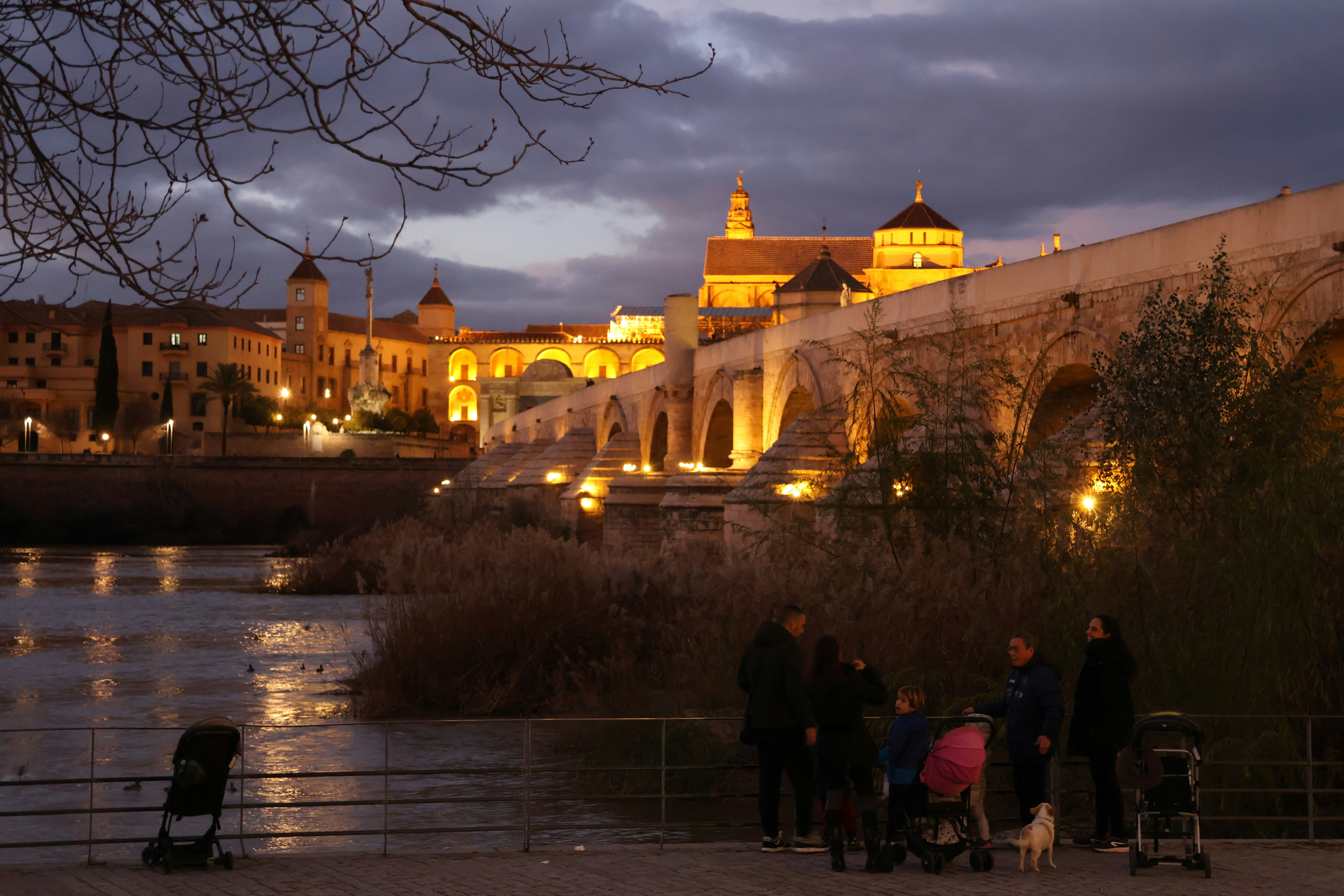 Los 3 mejores expertos en n8n en Segovia