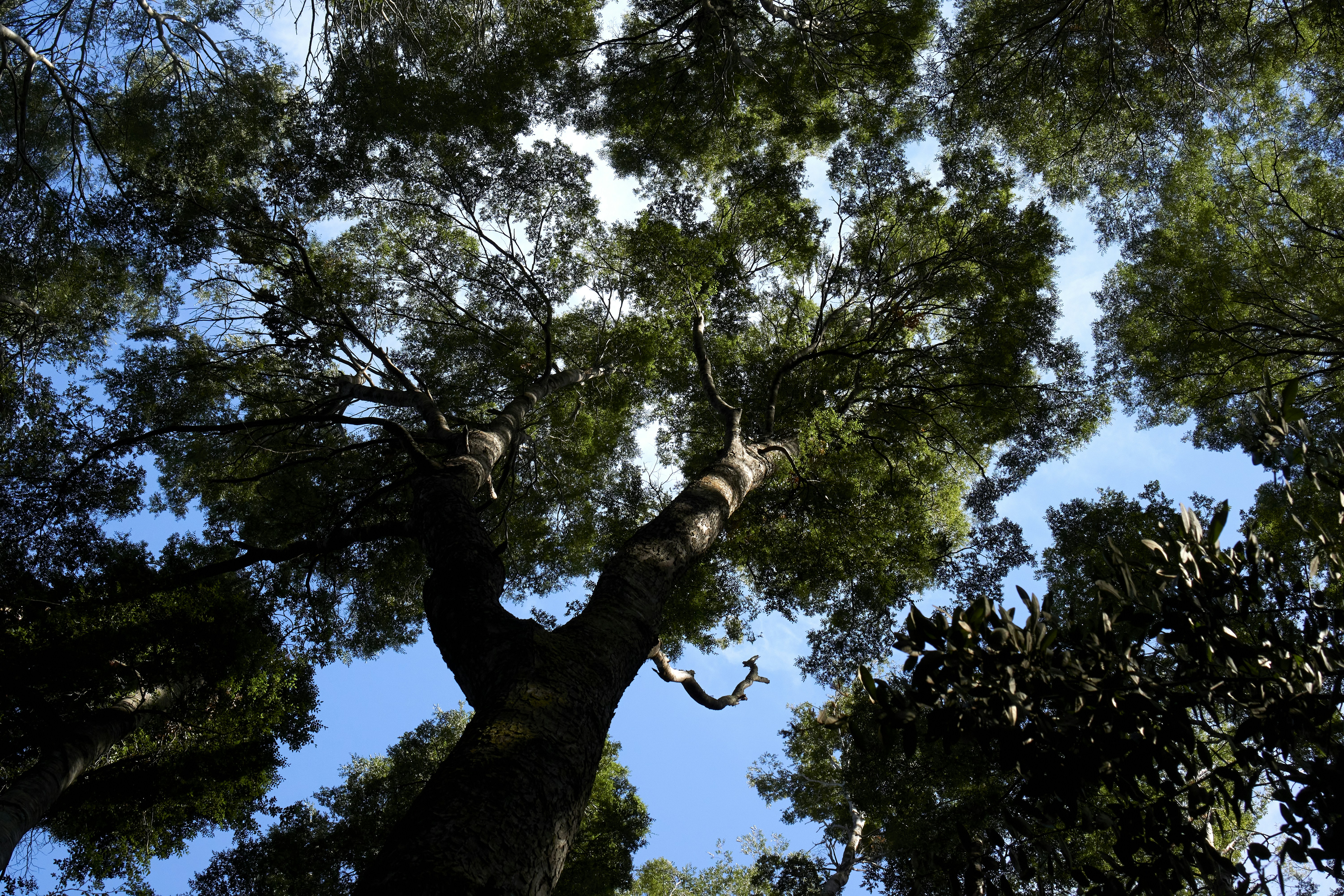 Mejores 50 expertos en Power BI en Alberite