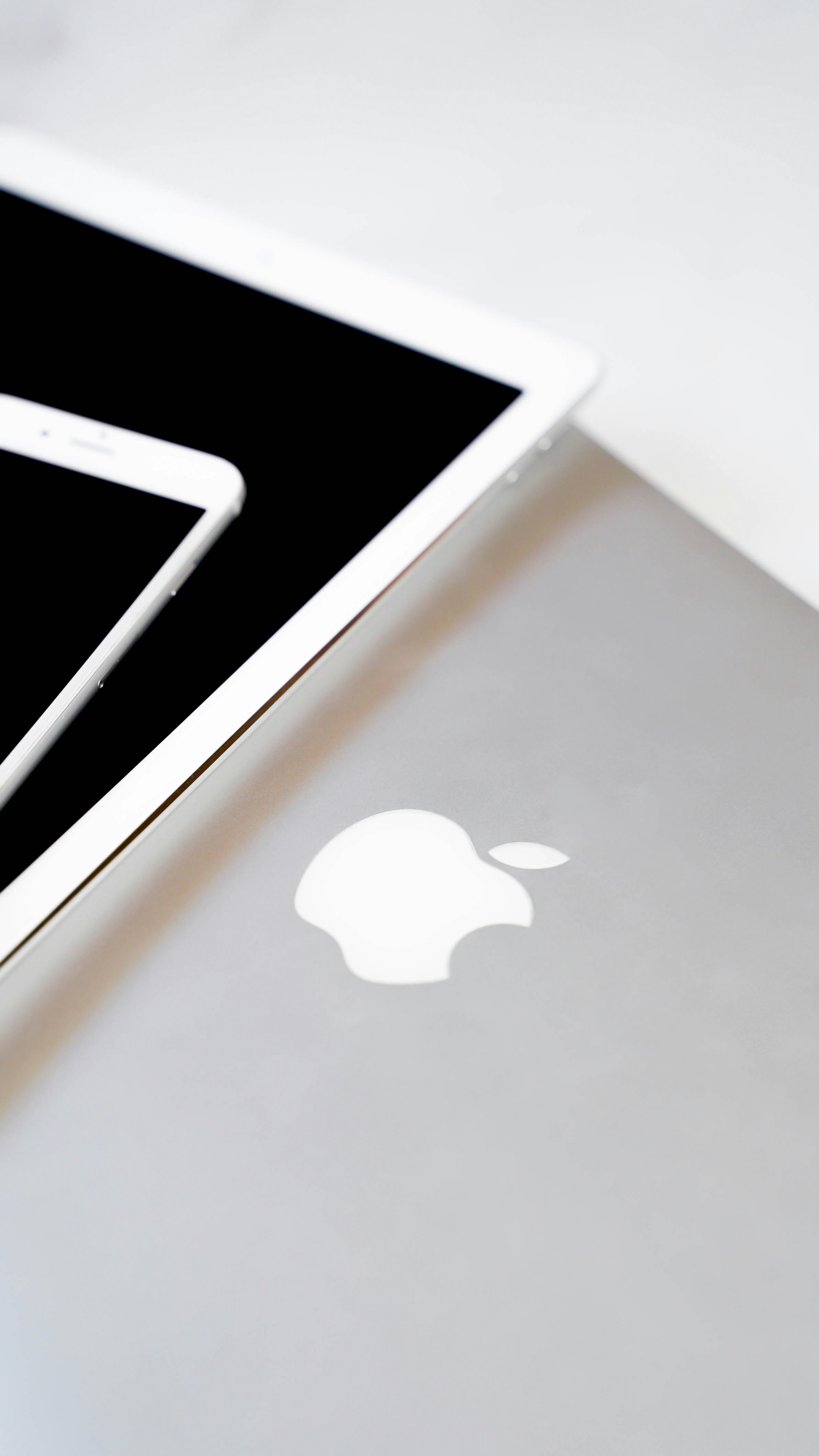 Los 30 mejores expertos en programación de aplicaciones en Blanes