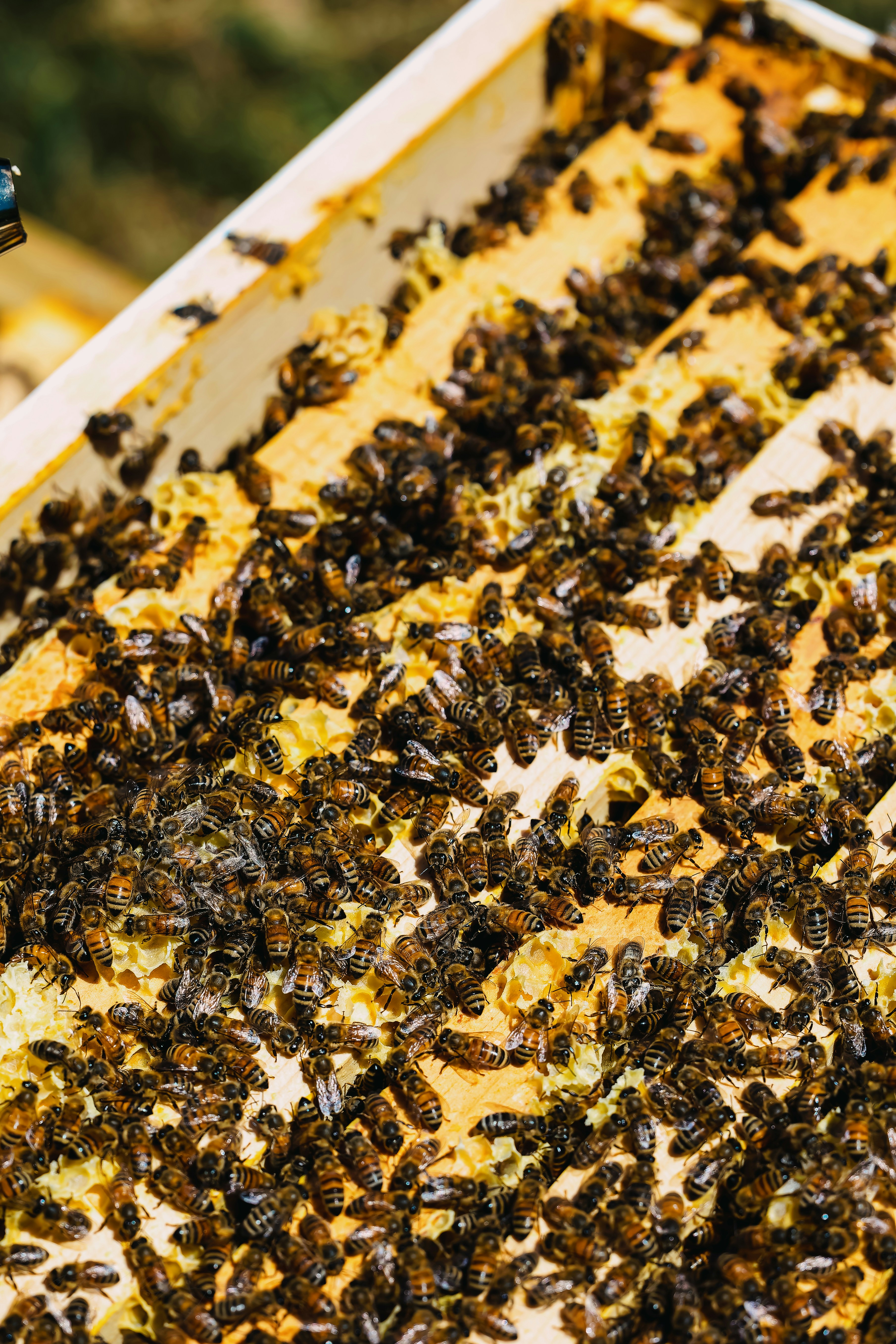 Los 50 principales expertos en servicios de integración de API para negocios en Córdoba