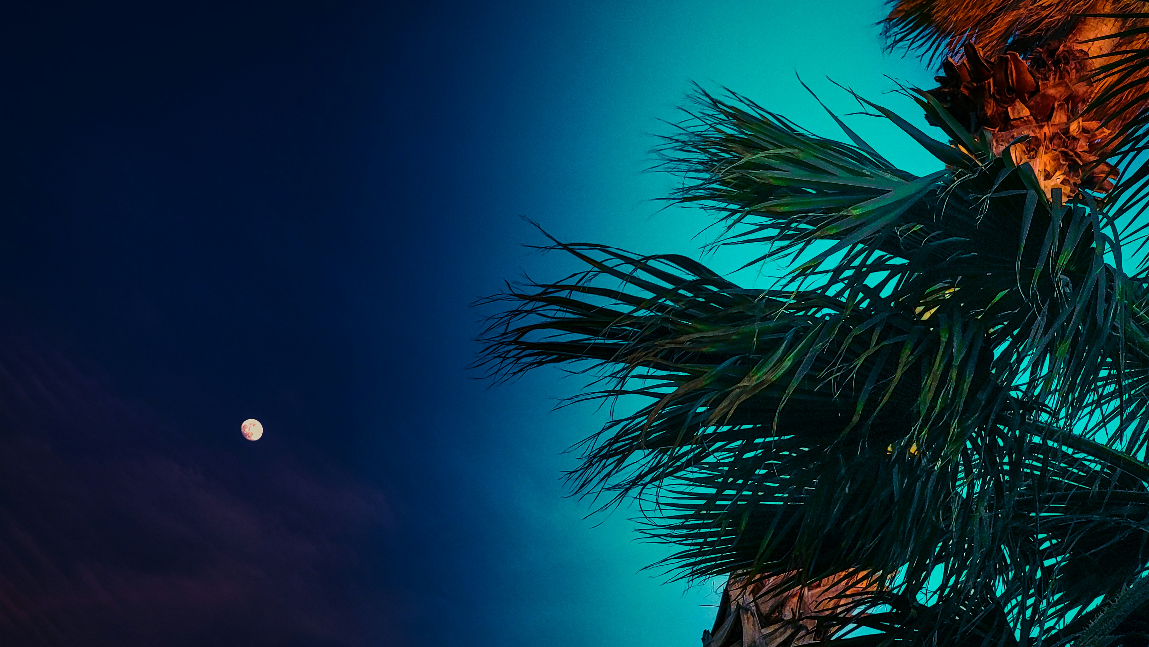 Top 10 Expertos en servicios de n8n en Marbella