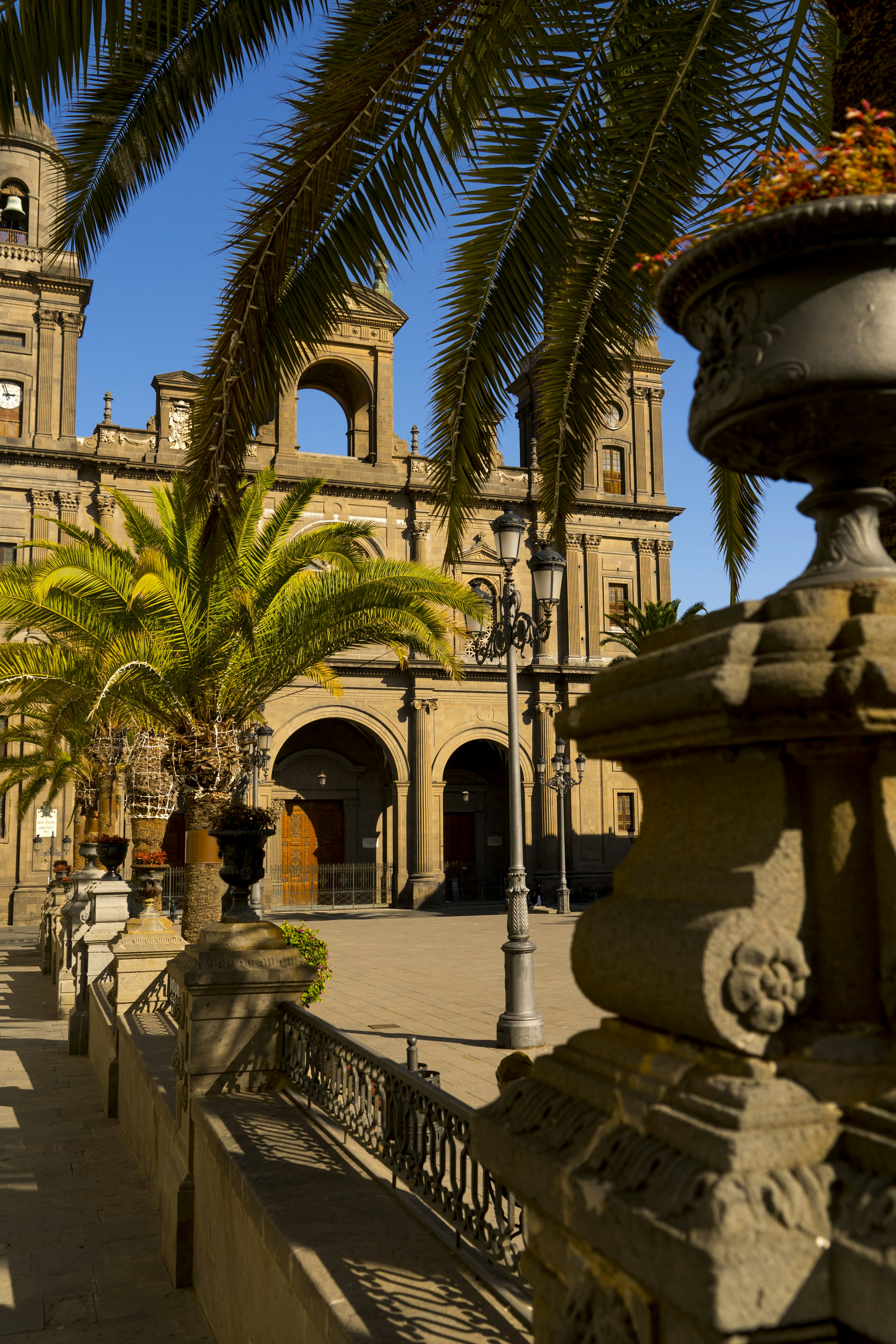 Top 10 Expertos en software de negocios en Las Palmas