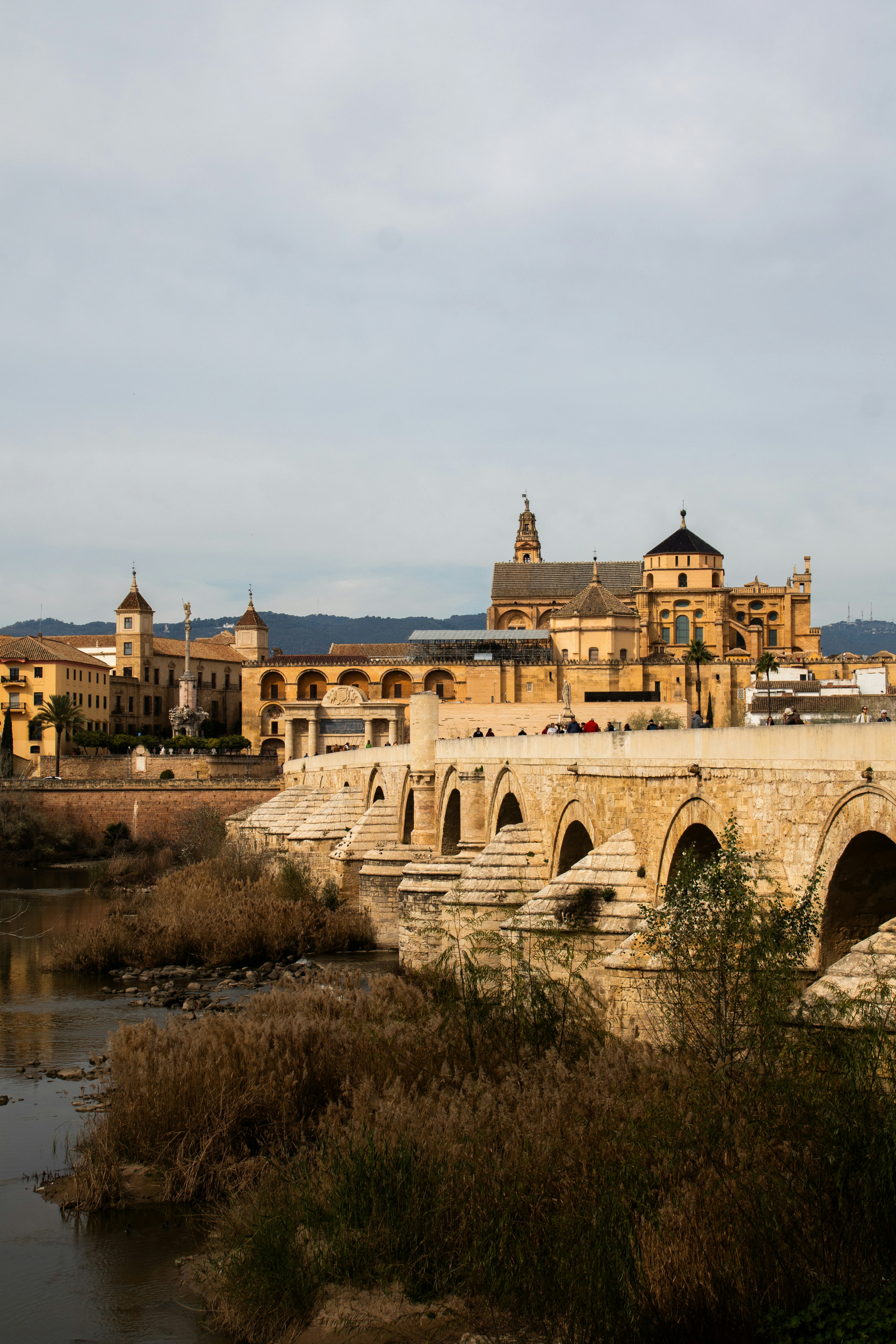 Los 10 mejores expertos en n8n en Salamanca