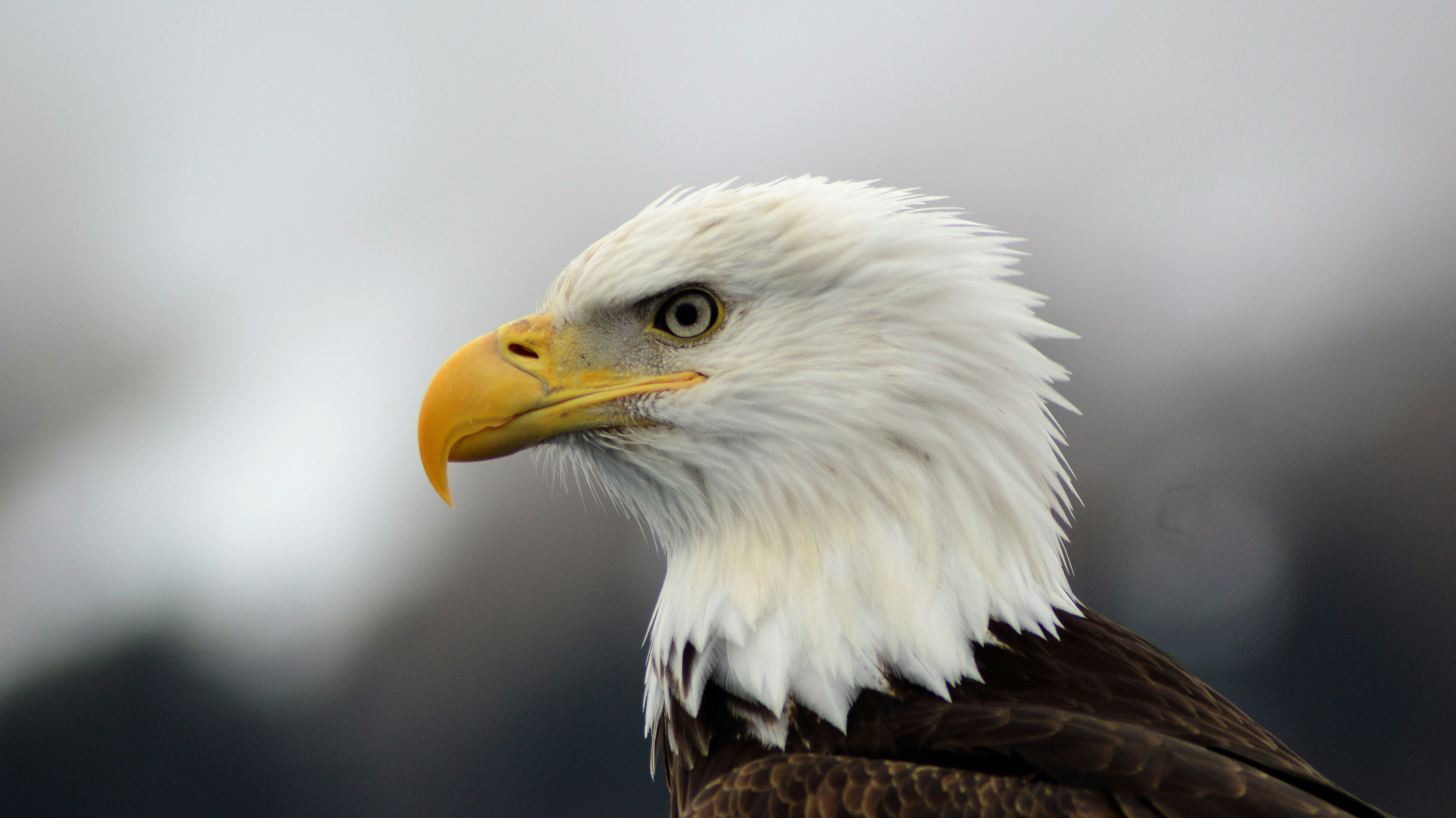 Top 20 Expertos en programación de aplicaciones en Águilas