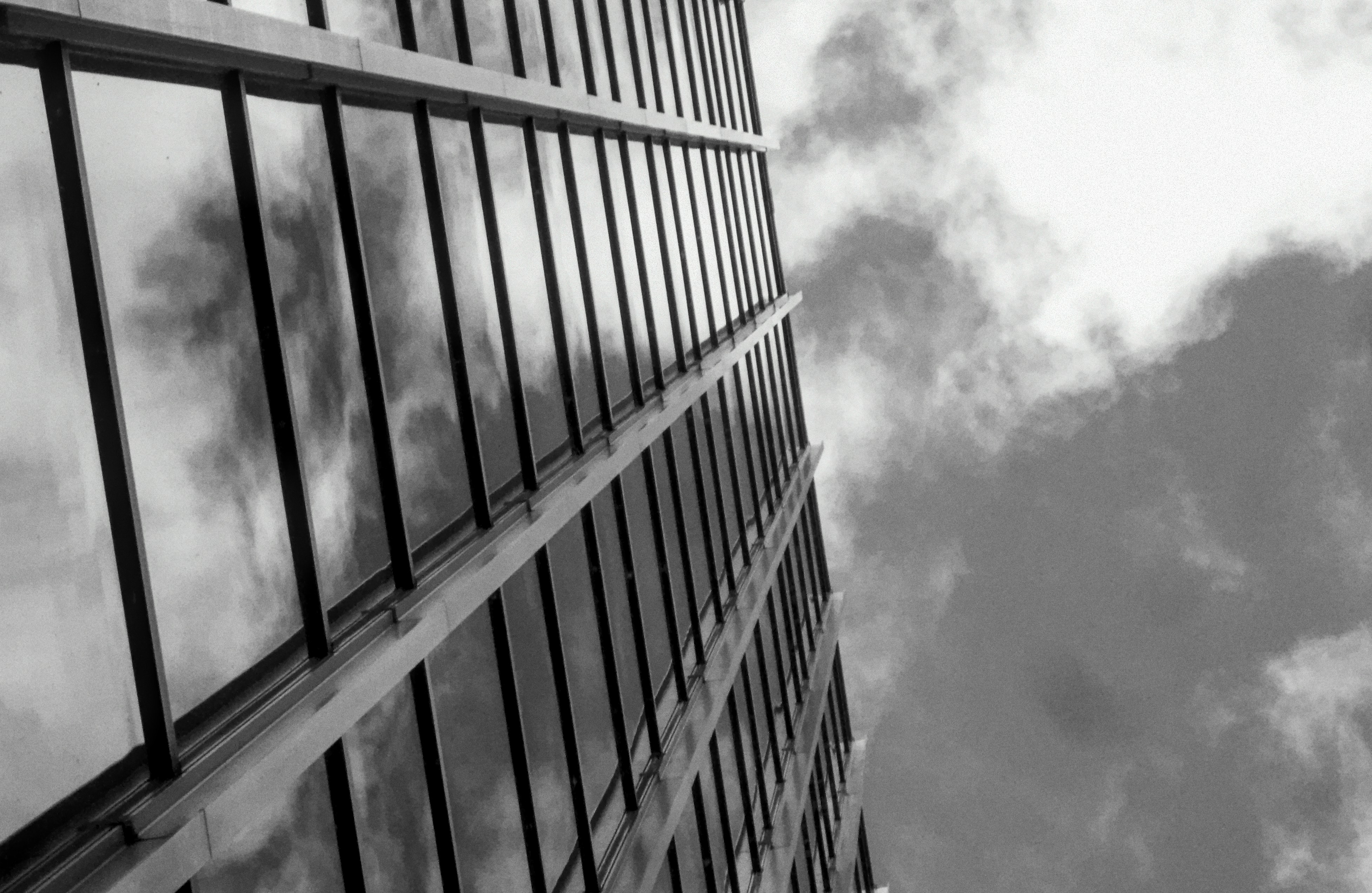 Mejores proveedores de programas de gestión personalizados de alto rendimiento en Madrid: Una revisión de 2024