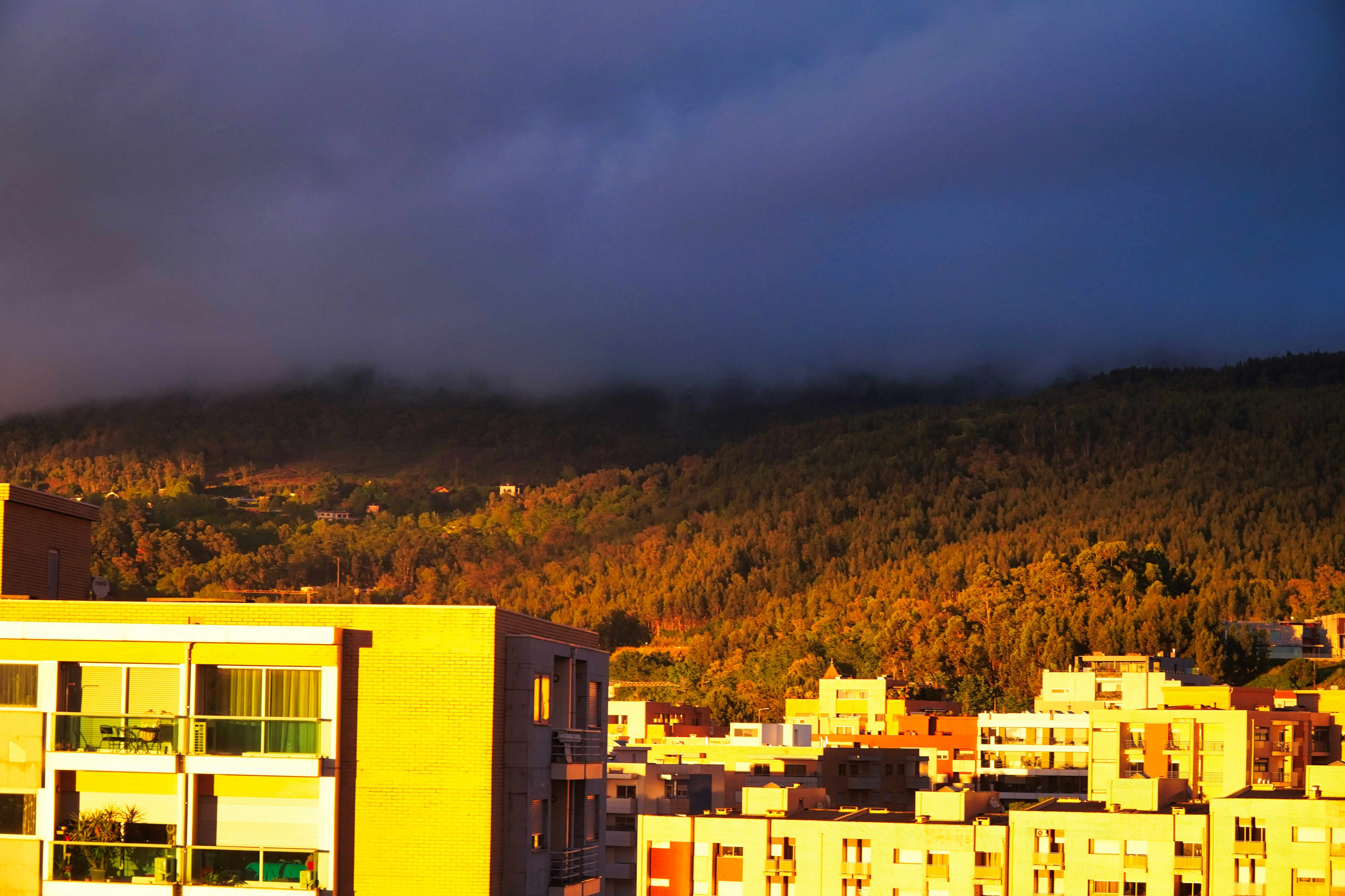 Top 10 Empresas de desarrollo de software en Fuengirola