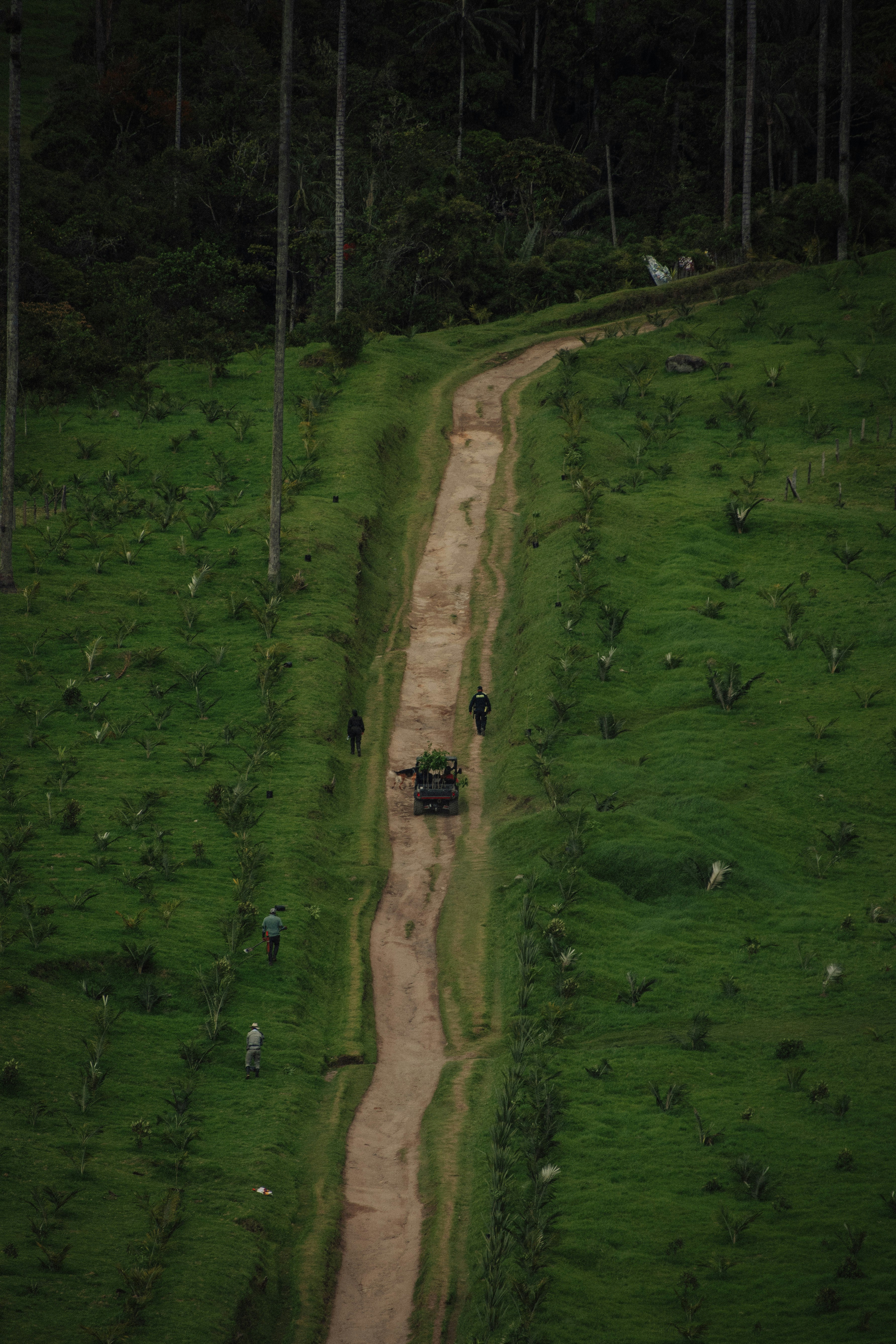 Los modelos Frontier están fallando uno de cada tres intentos de producción, y cada vez es más difícil auditarlos