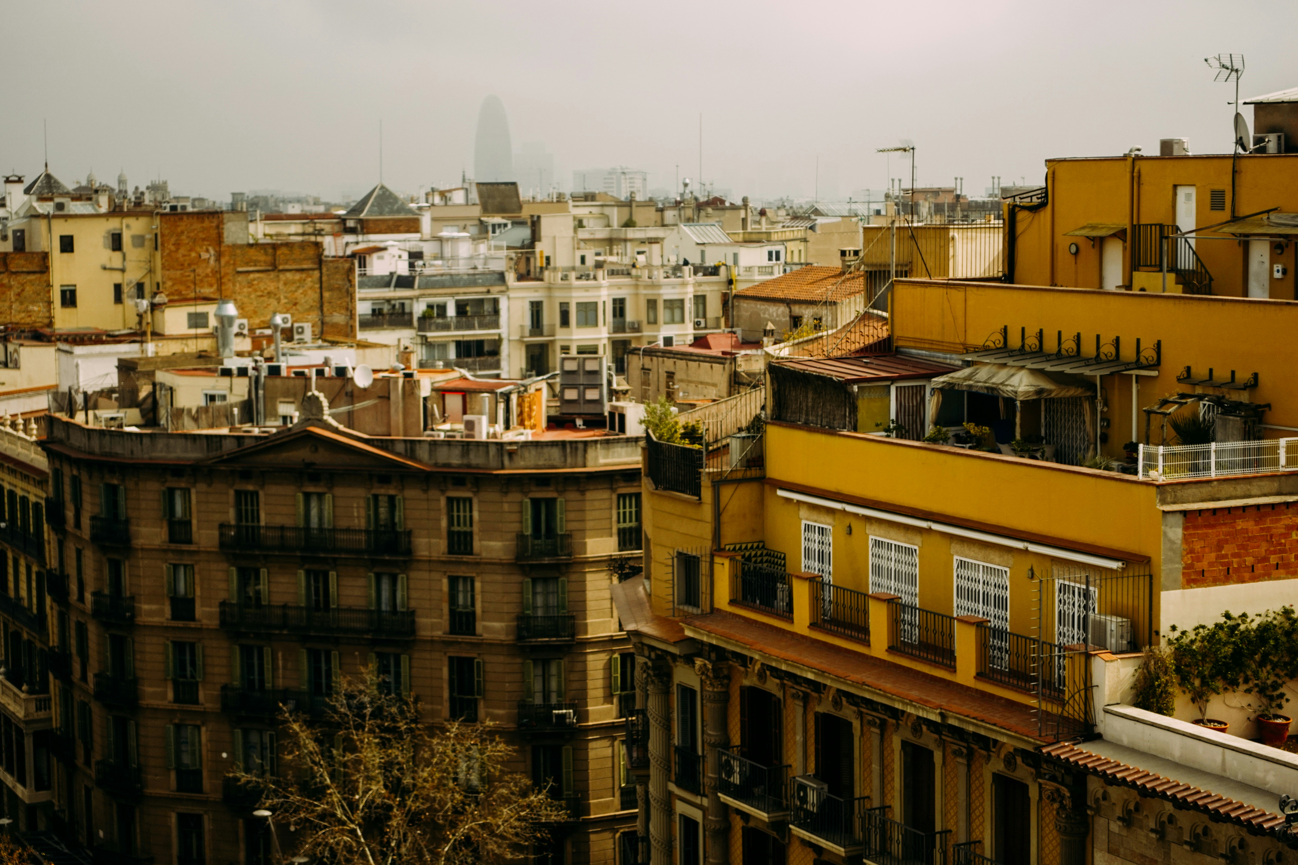 ¿Por qué son cruciales los proveedores de diseño web para las empresas en España en 2024?