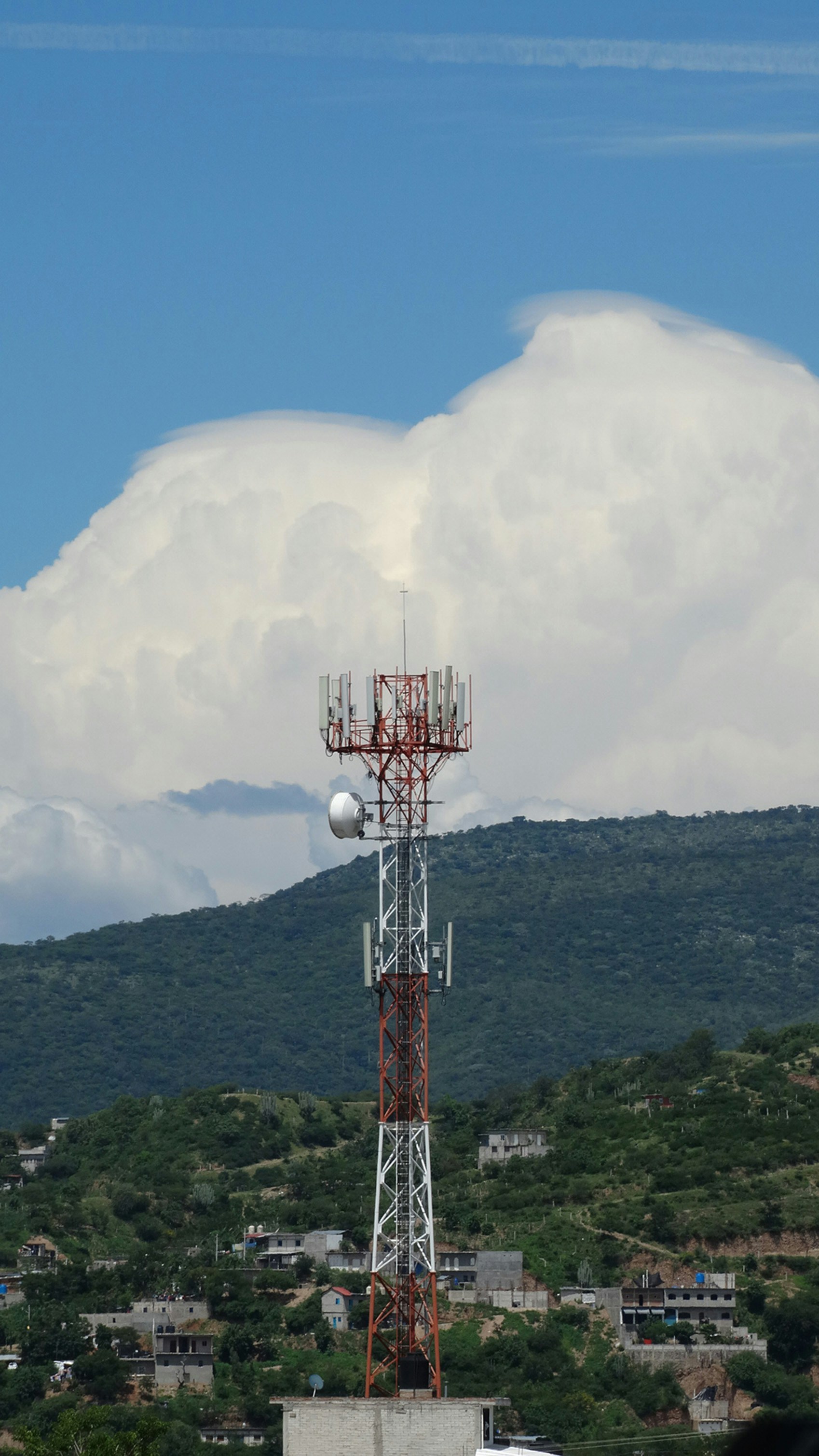 ¿Los servicios telefónicos de IA se alojan localmente o en la nube?