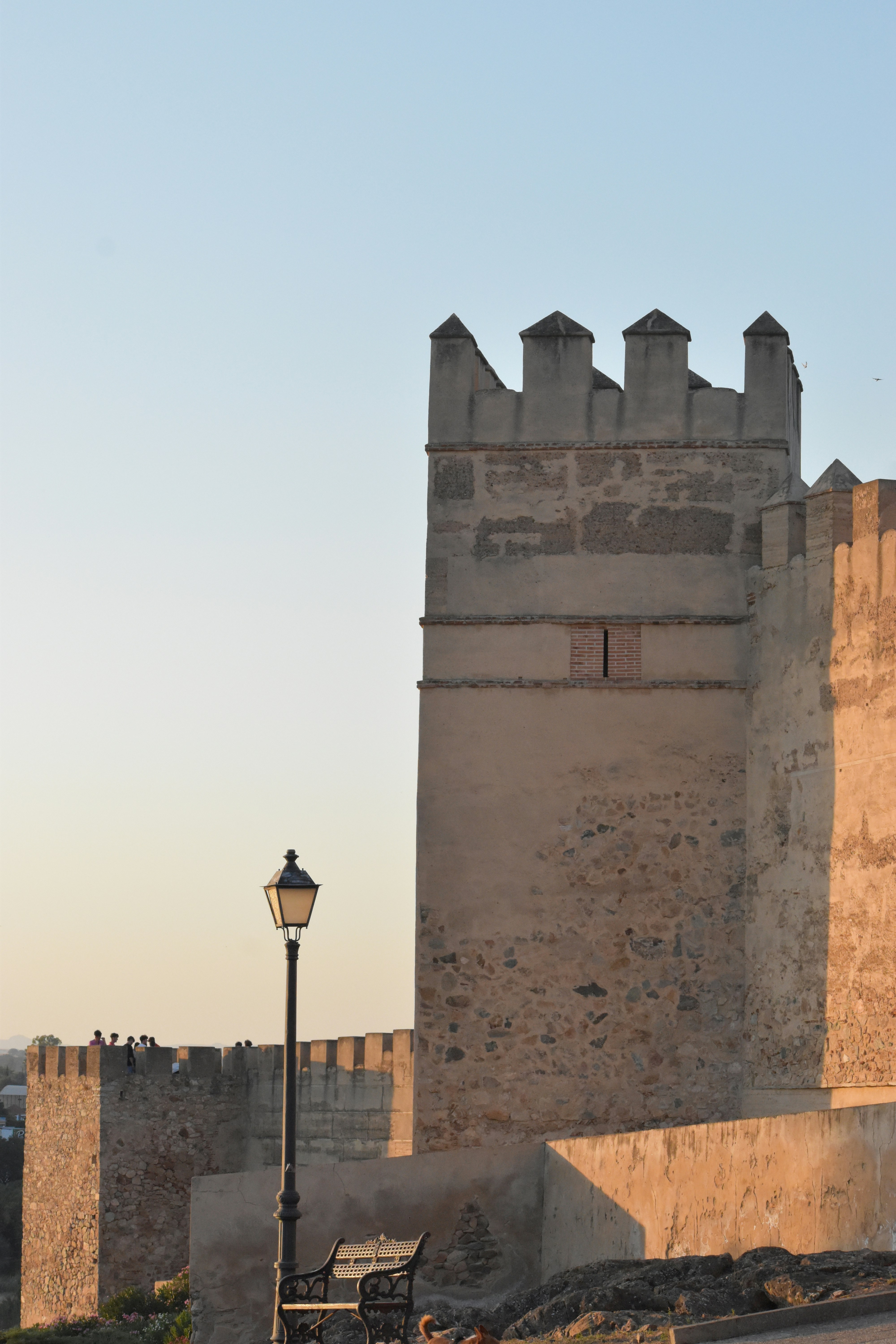 Top 5 Expertos en chatbots en Badajoz