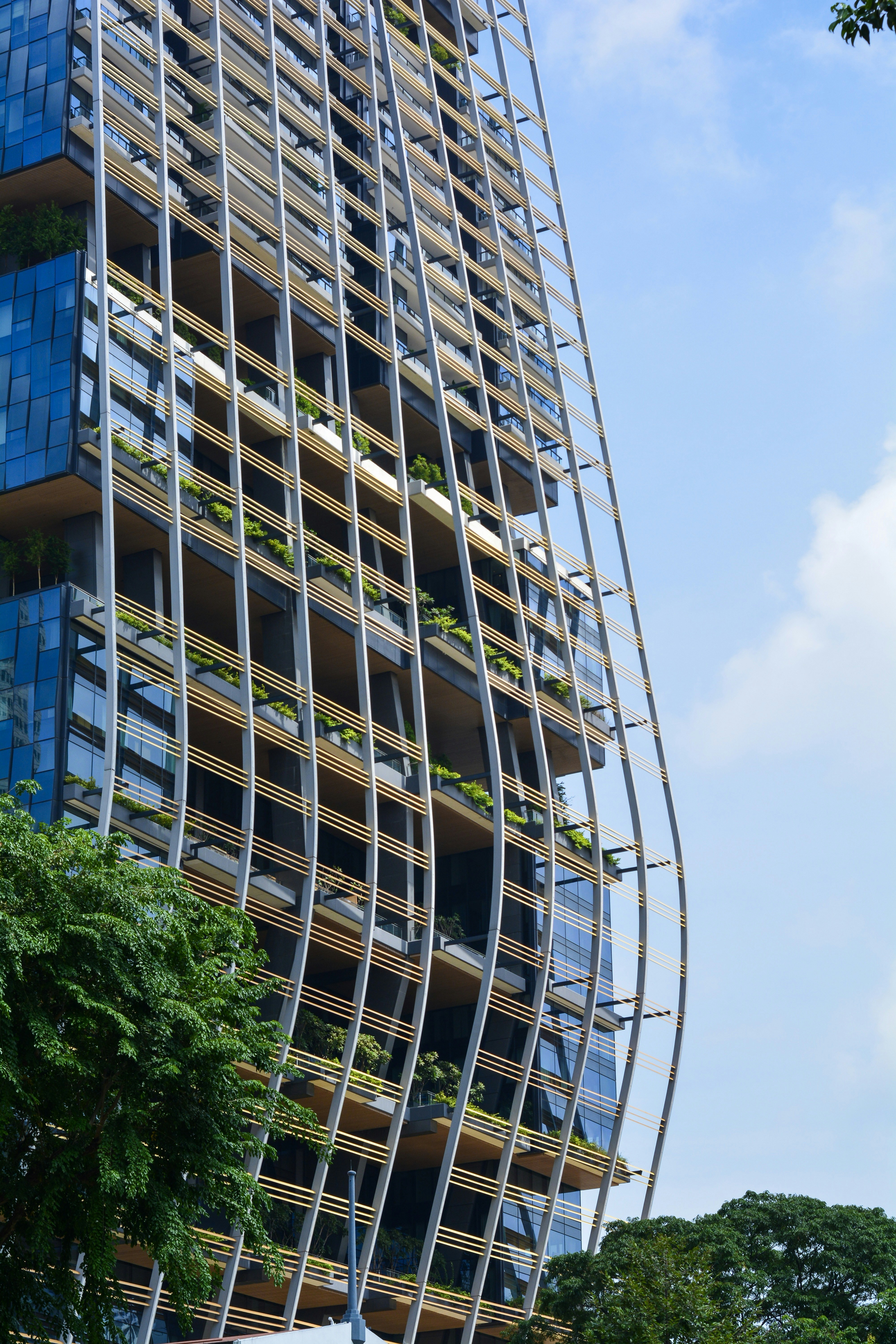 Madera transparente: material sostenible emergente en Asia Pacífico