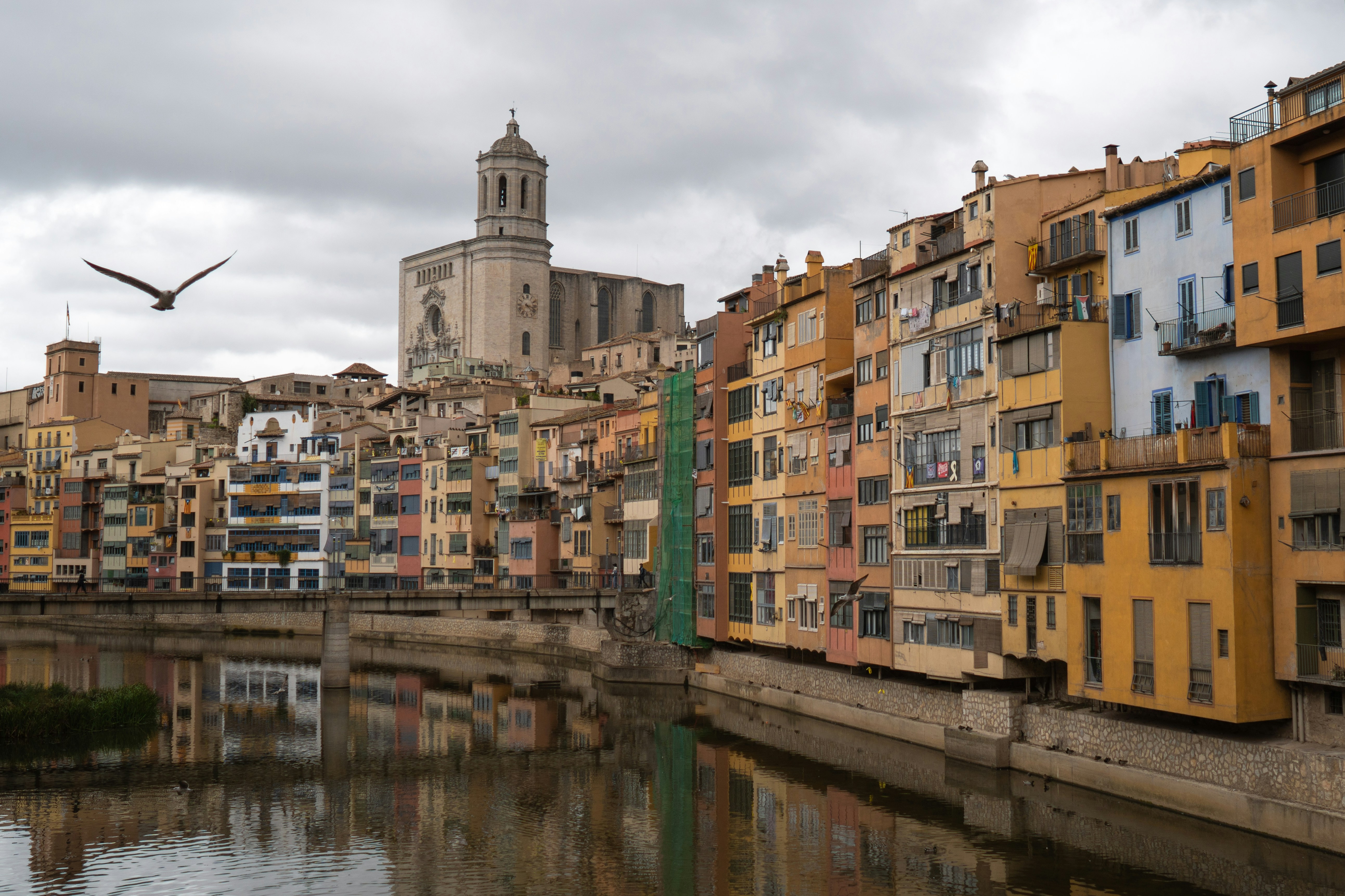 La guía definitiva para encontrar desarrollo SaaS personalizado en Girona