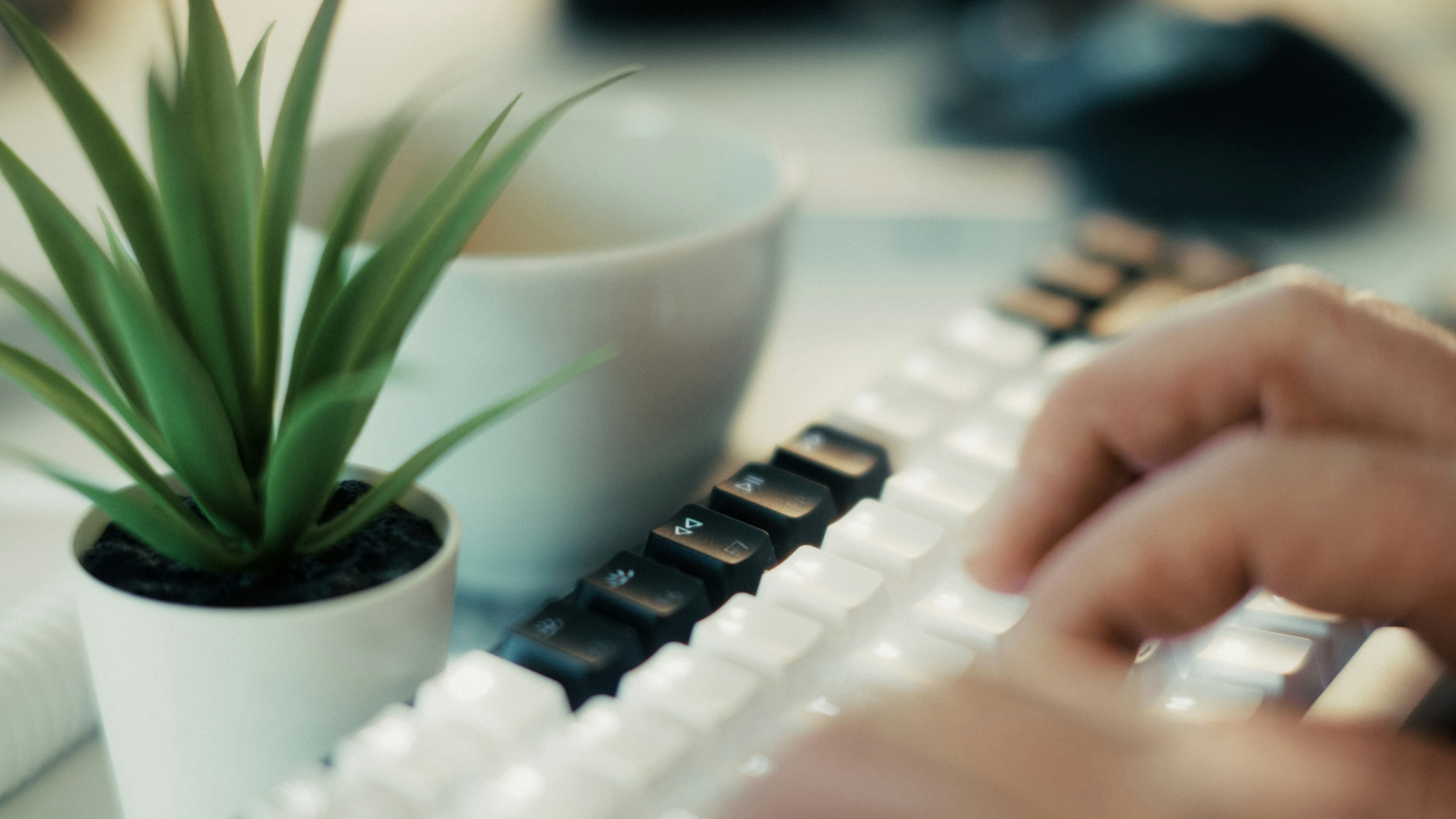 Mejor software de productividad para escritores freelance 2024