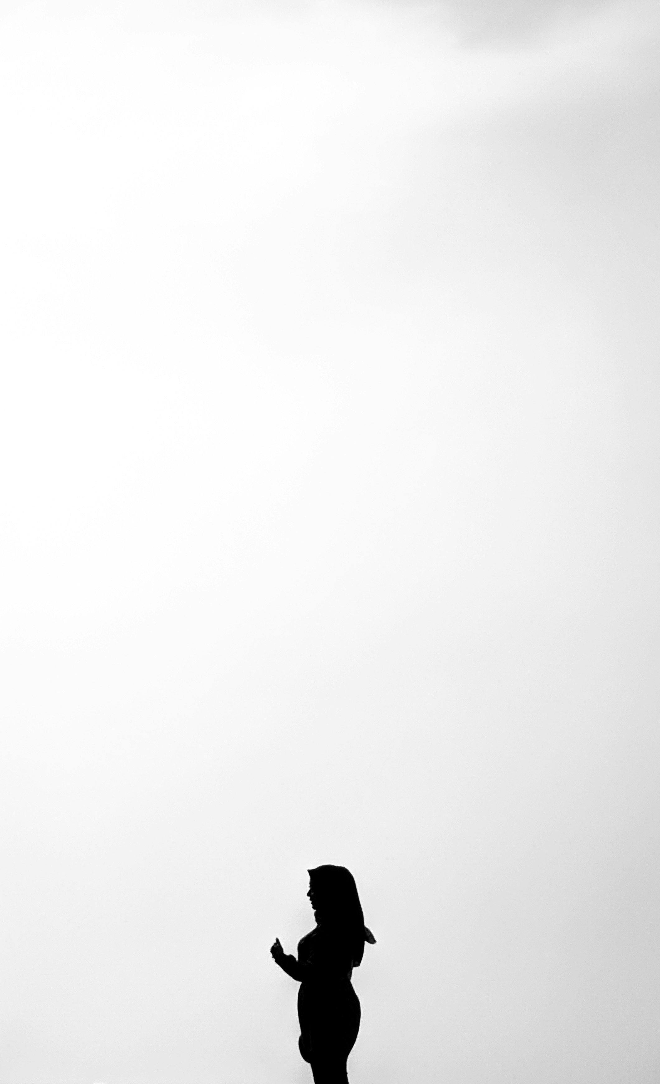 Administrador de contenido Dabis