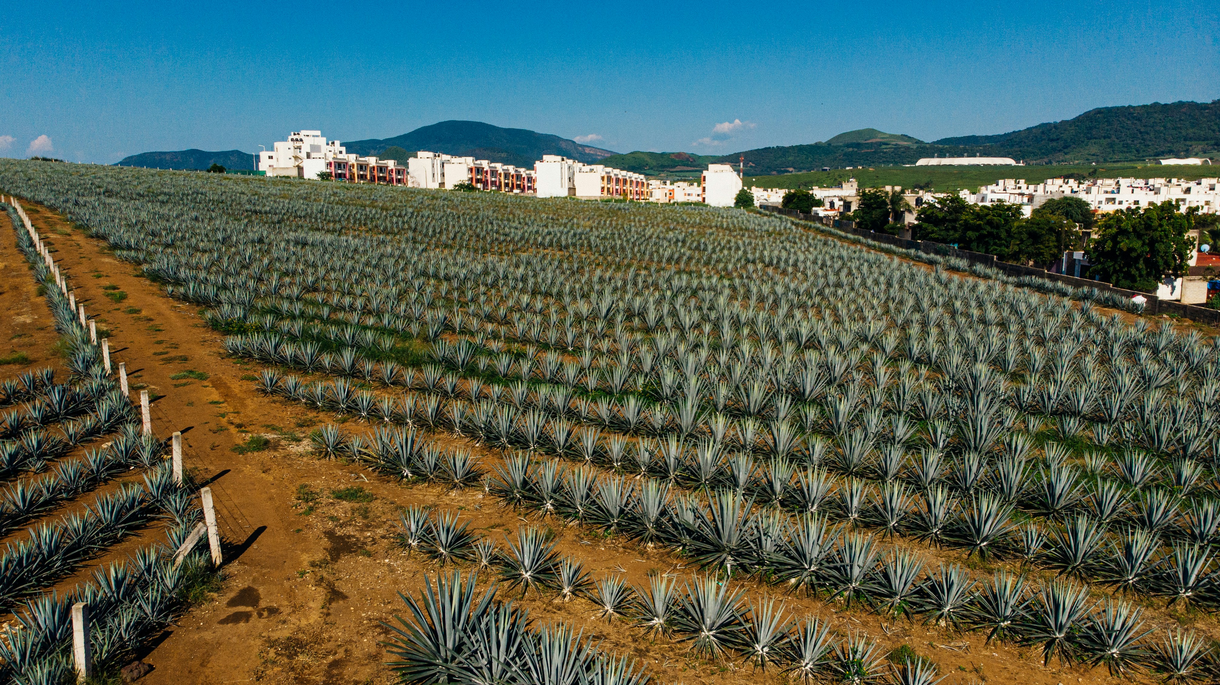 ¿Deben invertir las PYMES en el desarrollo interno de ERP en España en 2025?