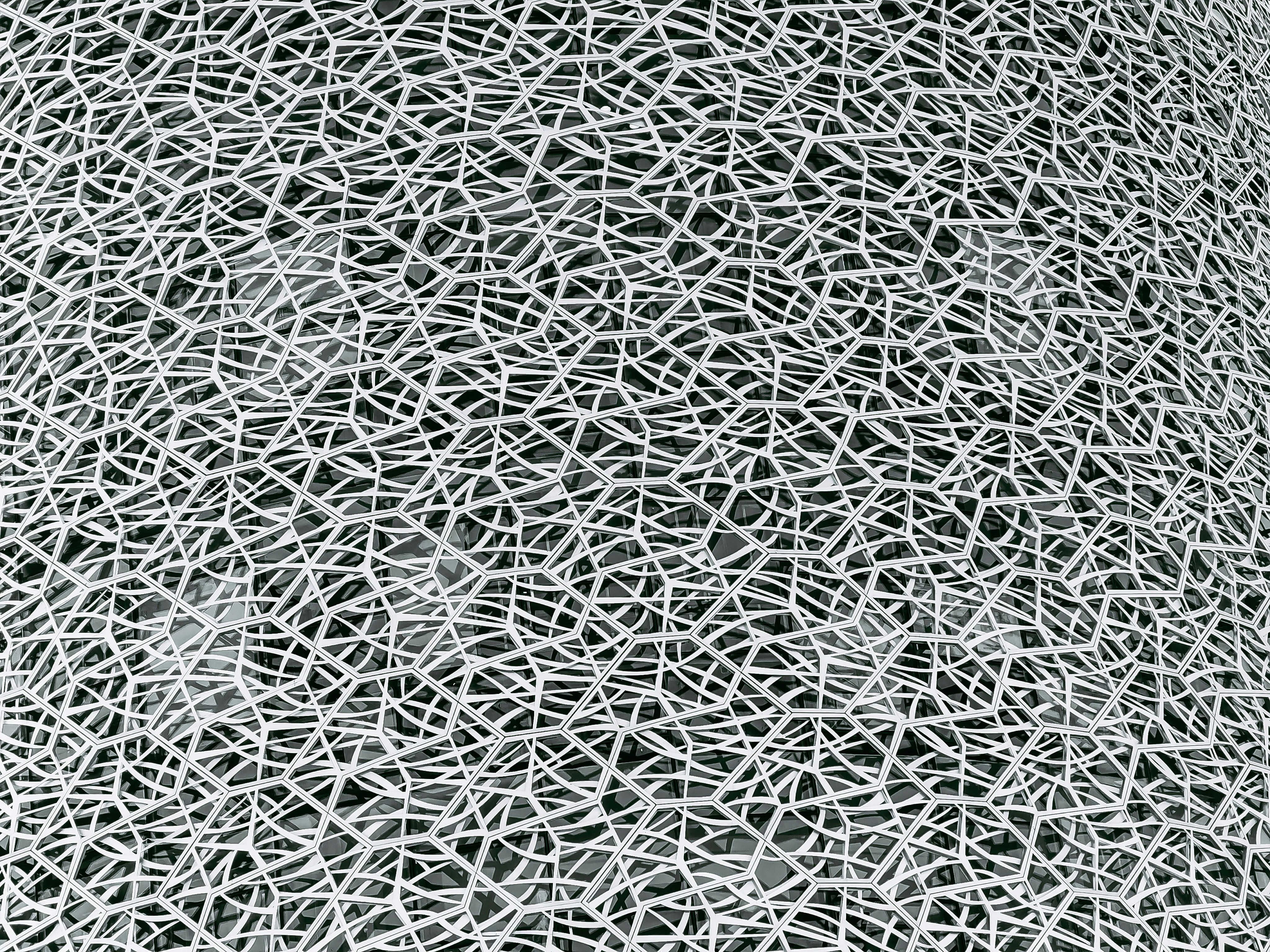 Biofabricación de redes microvasculares perfundidas para mejorar los injertos de piel impresos en 3D