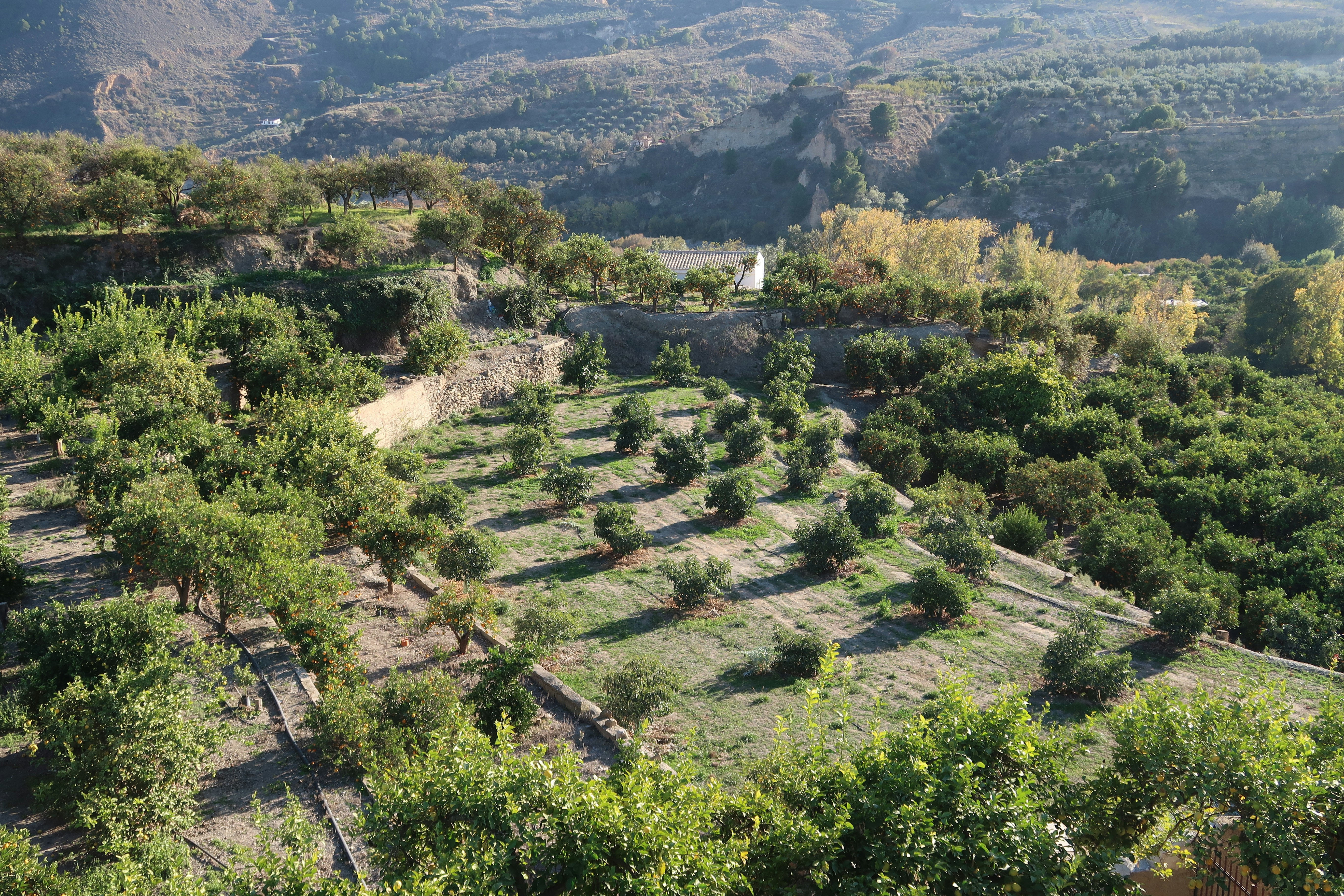 Alternativa al manejo de llamadas manual en Granada