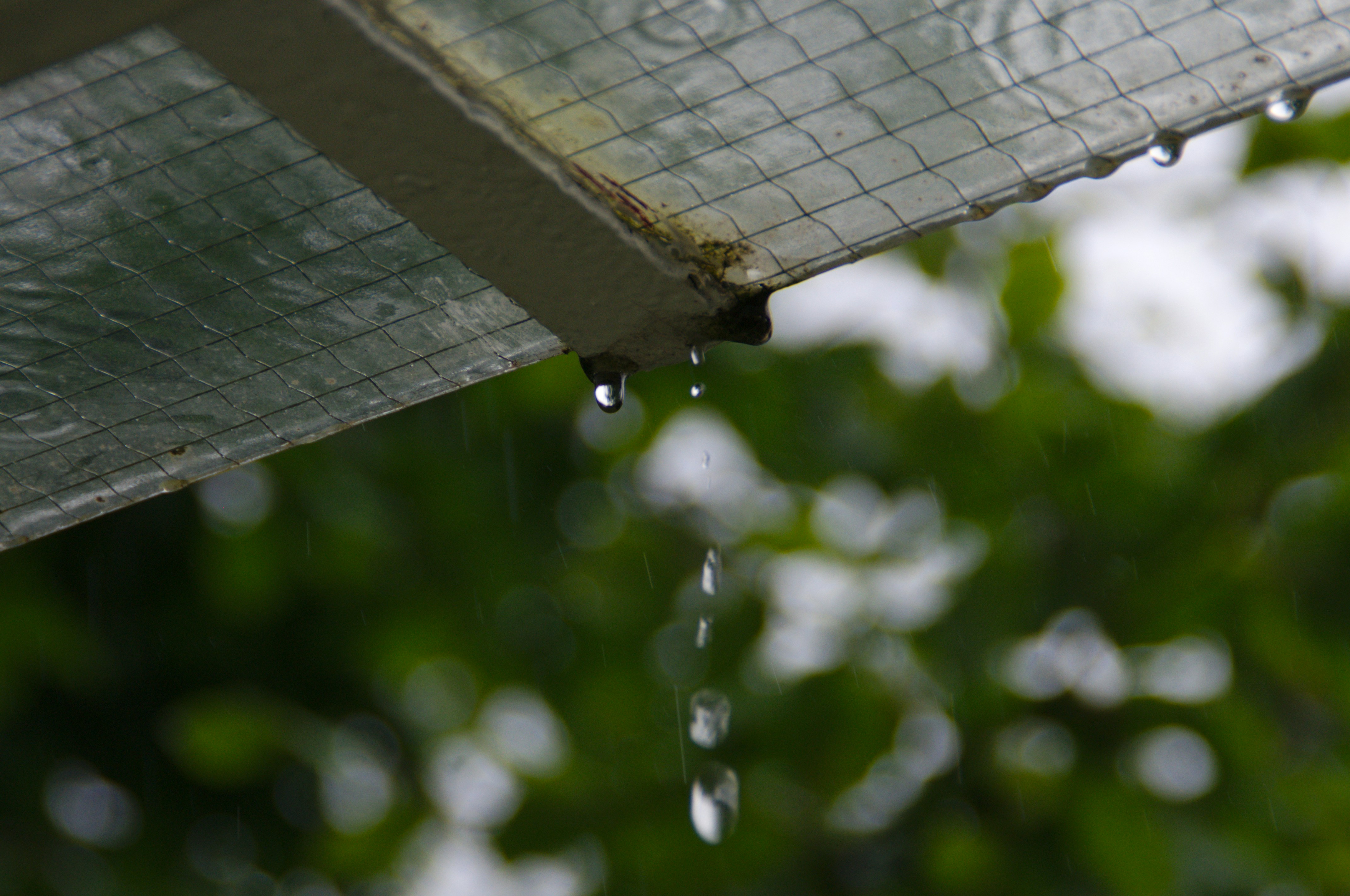 RAIN-Merging: Un método sin gradientes para mejorar el seguimiento de instrucciones en modelos de razonamiento grandes con un formato de pensamiento preservado