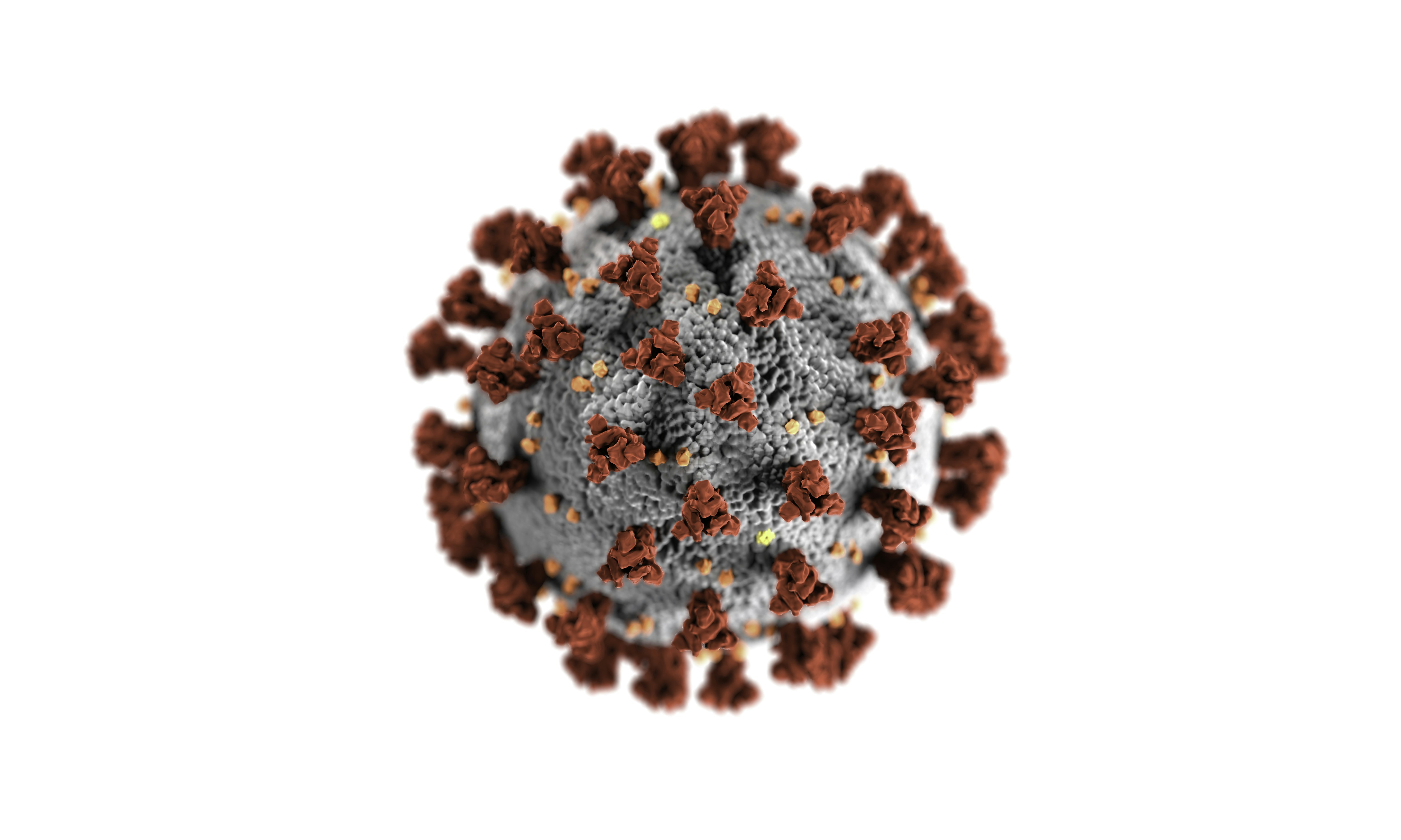 Mejora de la biodisponibilidad de nanopartículas de selenio a través de sistemas de entrega de lípidos dirigidos