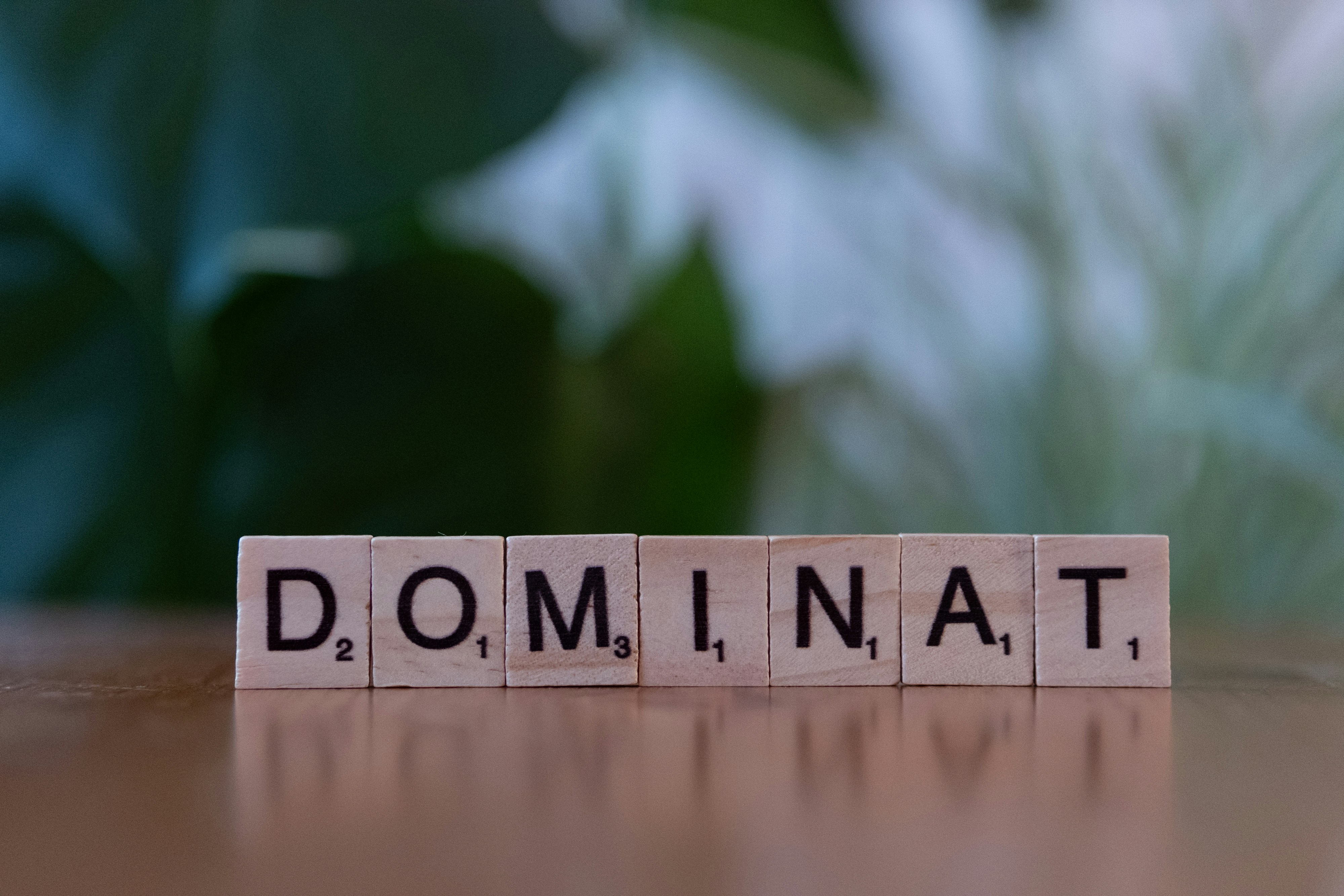 Servidor Nombre de Dominio (DNS)