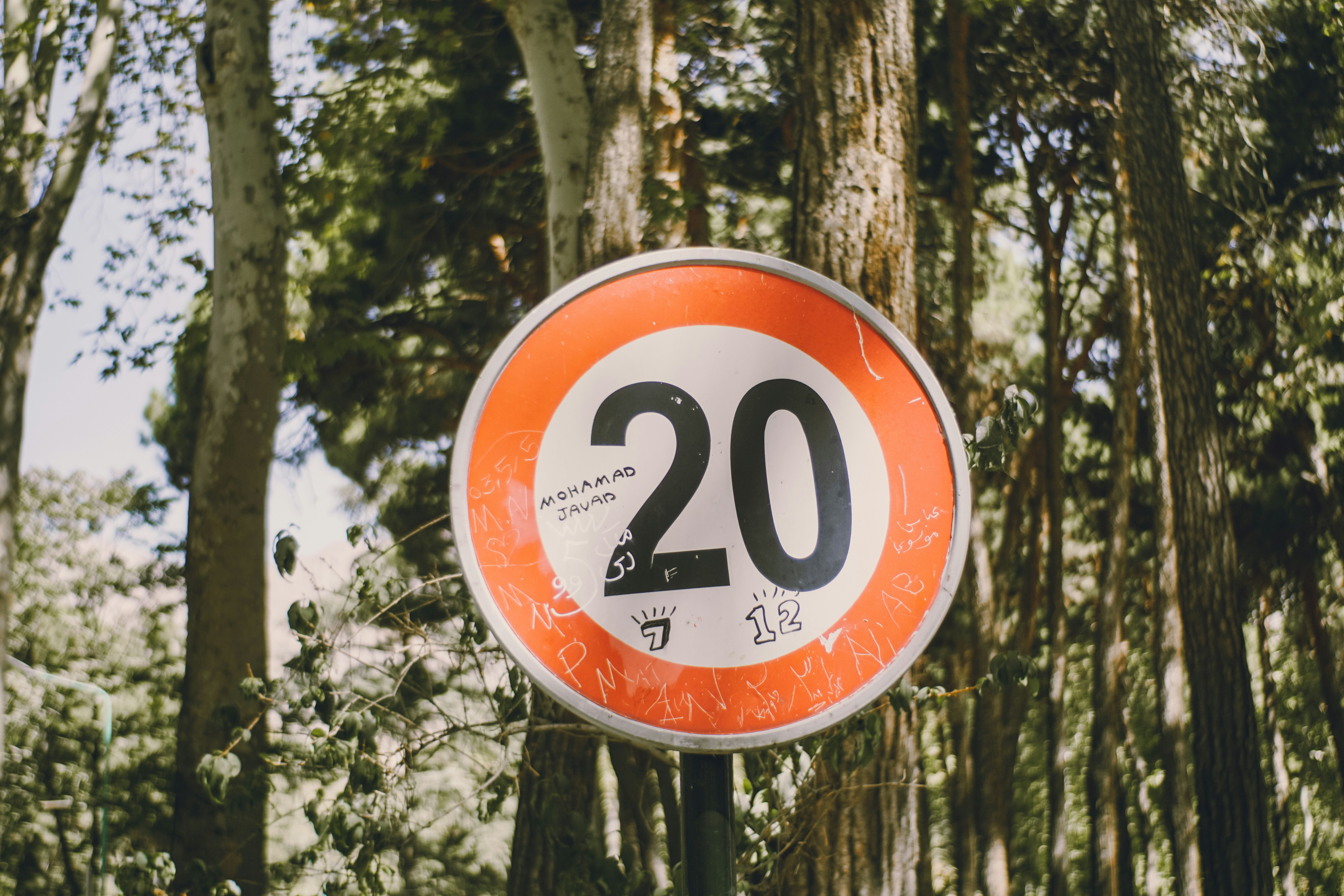 Los 30 mejores expertos en consultoría de hojas de ruta de transformación digital en Santa Cruz de Tenerife