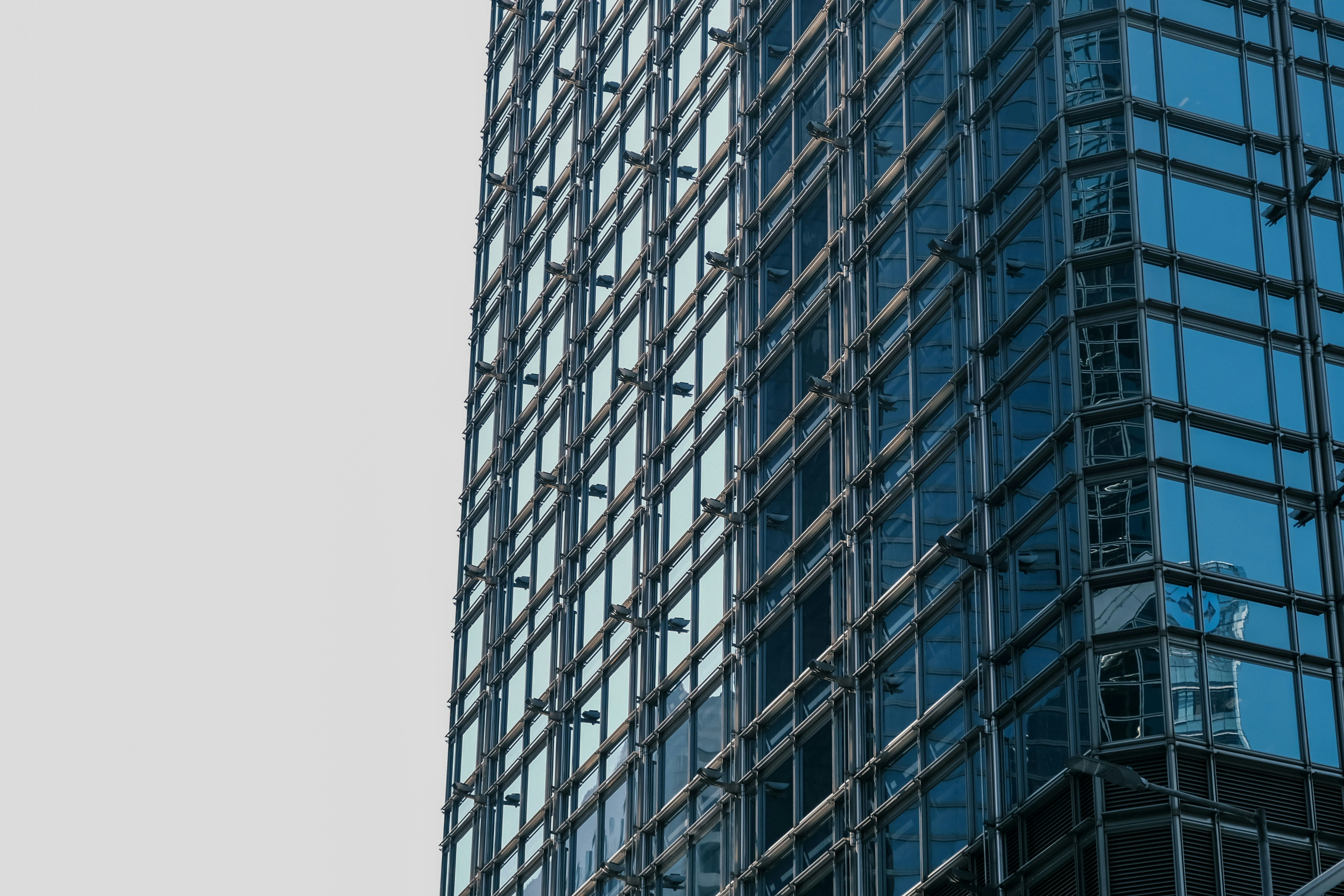 Top 10 Empresas para aplicaciones en Rentería