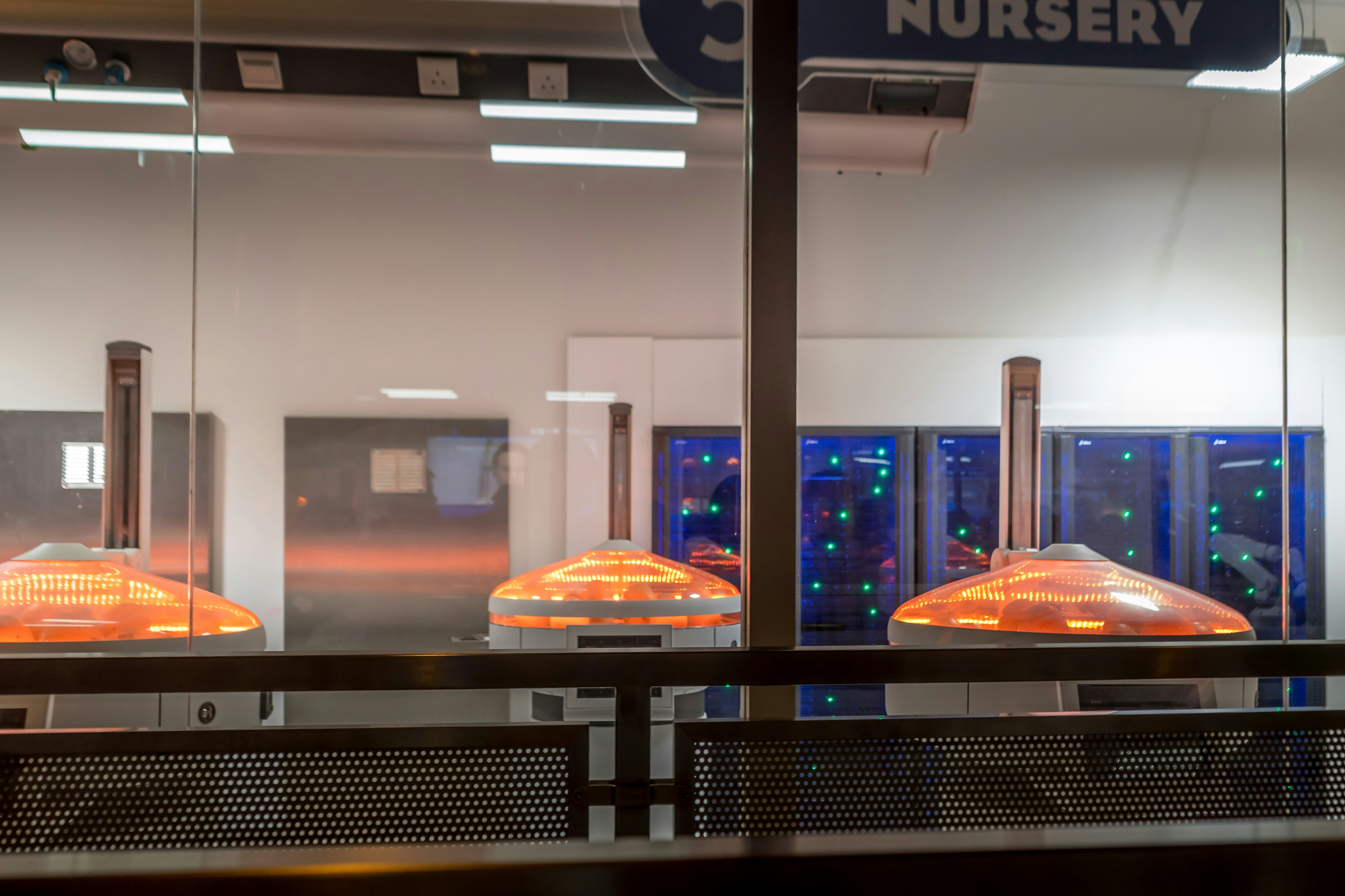 Mejores 20 empresas de servicios de automatización de procesos en Nájera