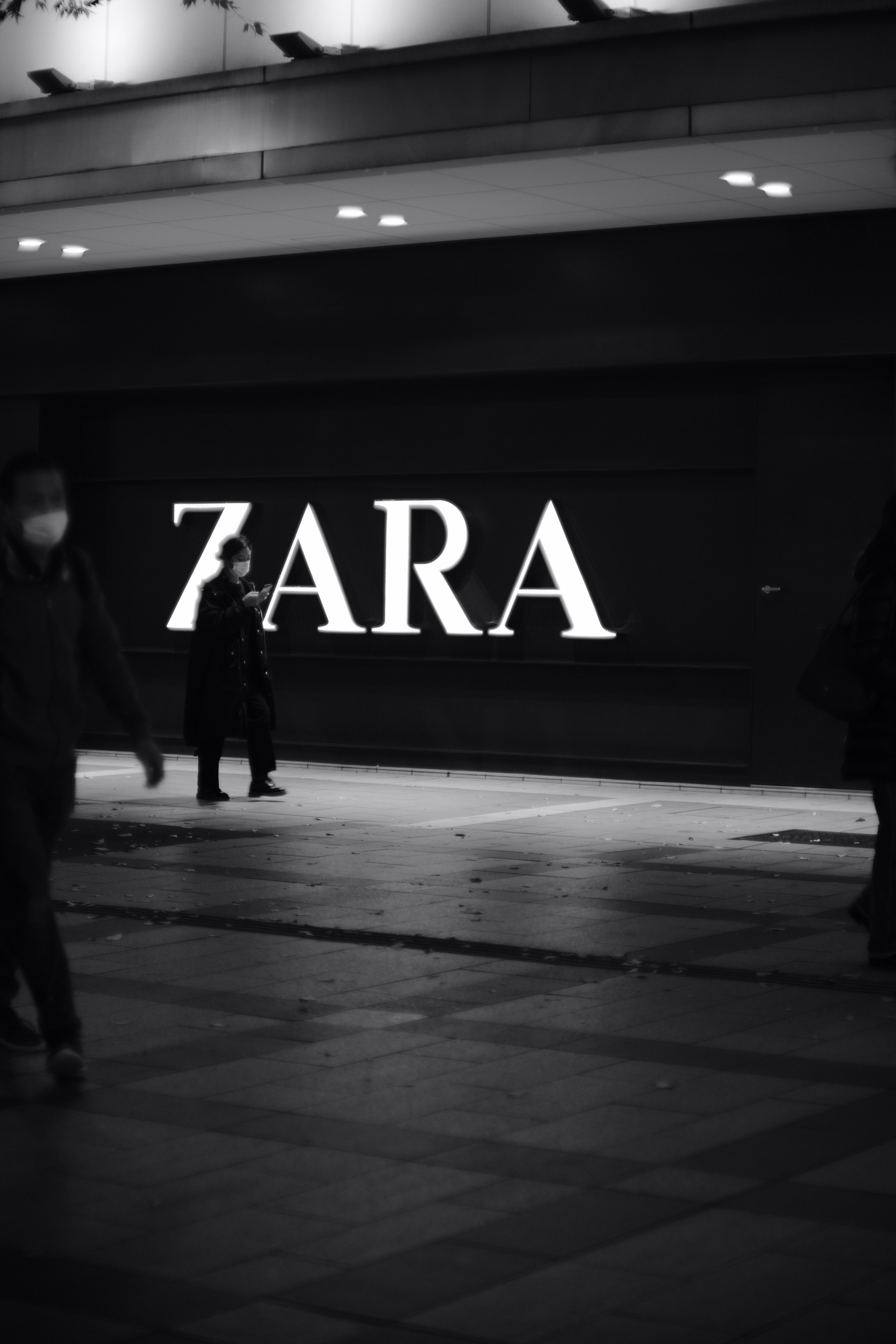 Principales 3 Empresas para Bots de SEO en Zafra