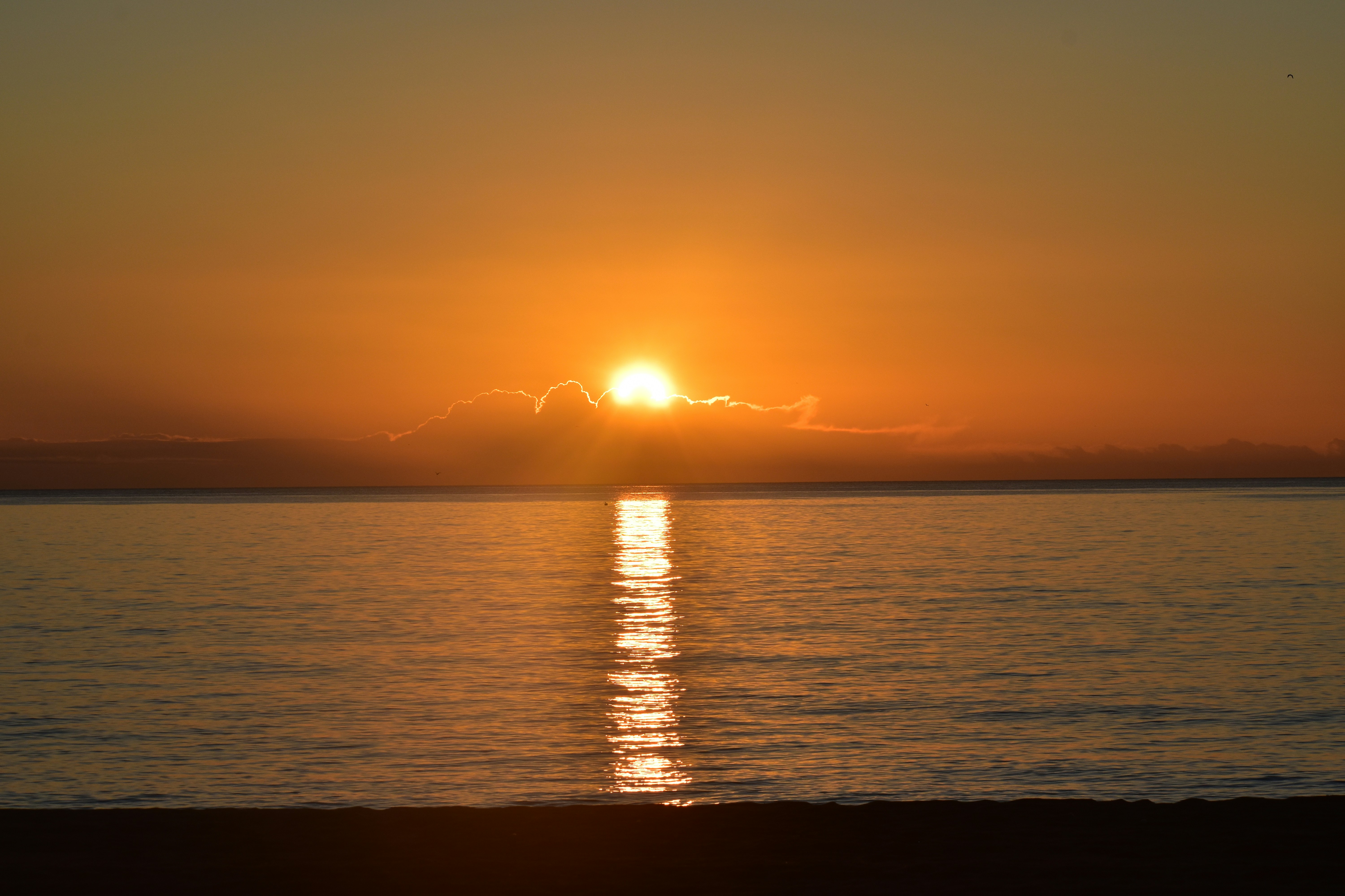 Mejores 3 empresas para Business Intelligence en Torremolinos