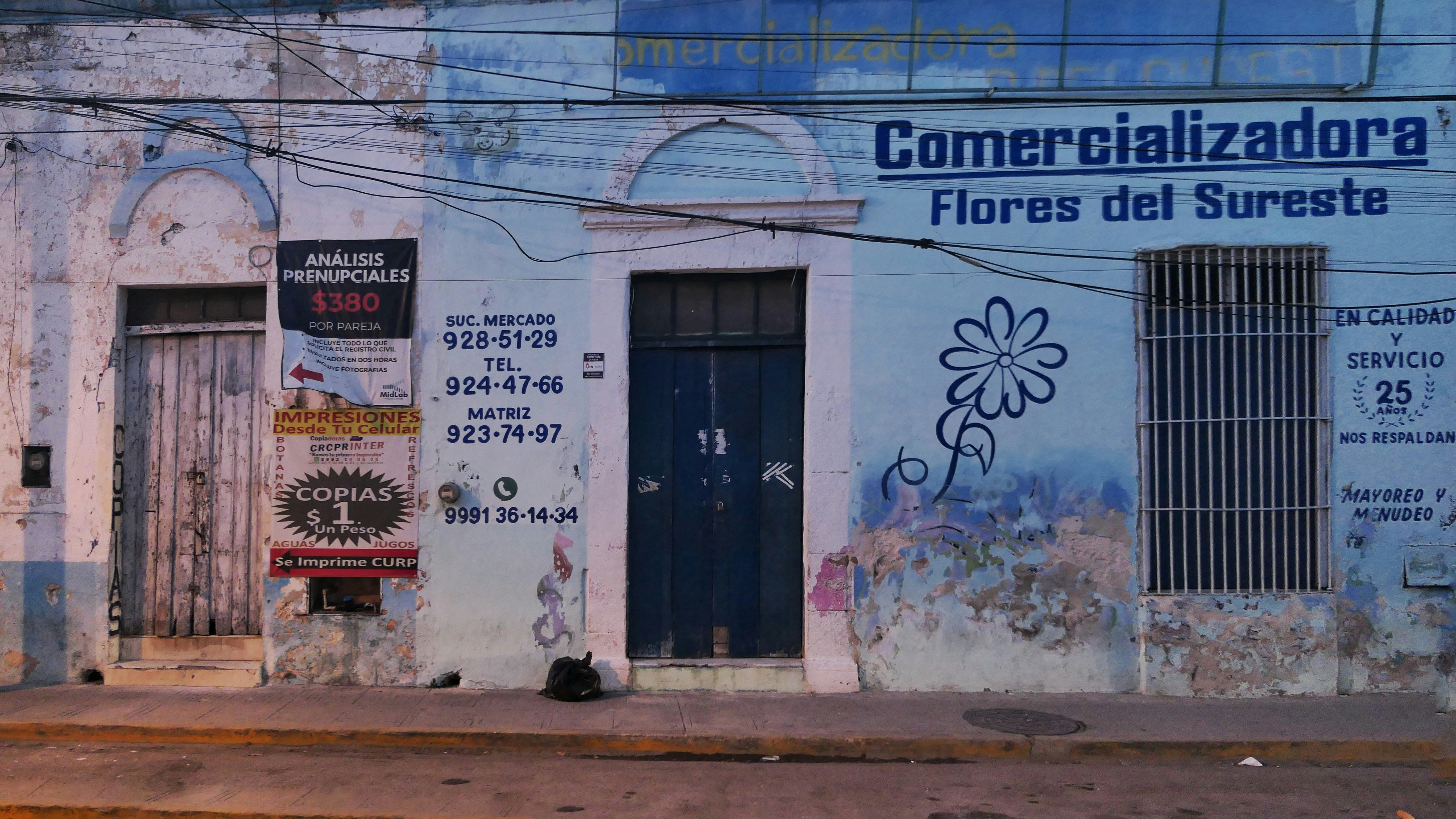 Principales 15 empresas para aplicaciones personalizadas en Cambados