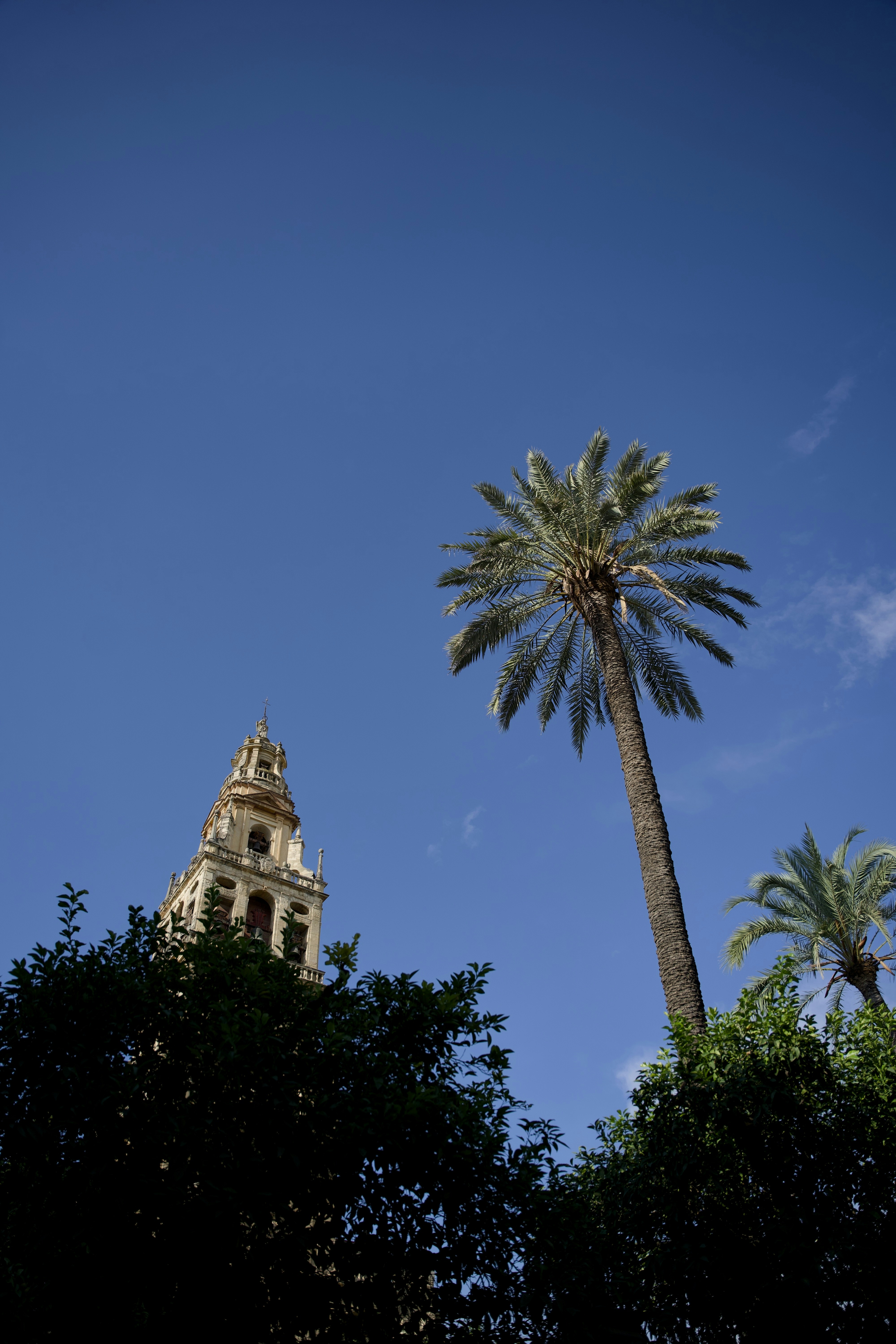 Top 100 Empresas para consultoría de aplicaciones en Córdoba