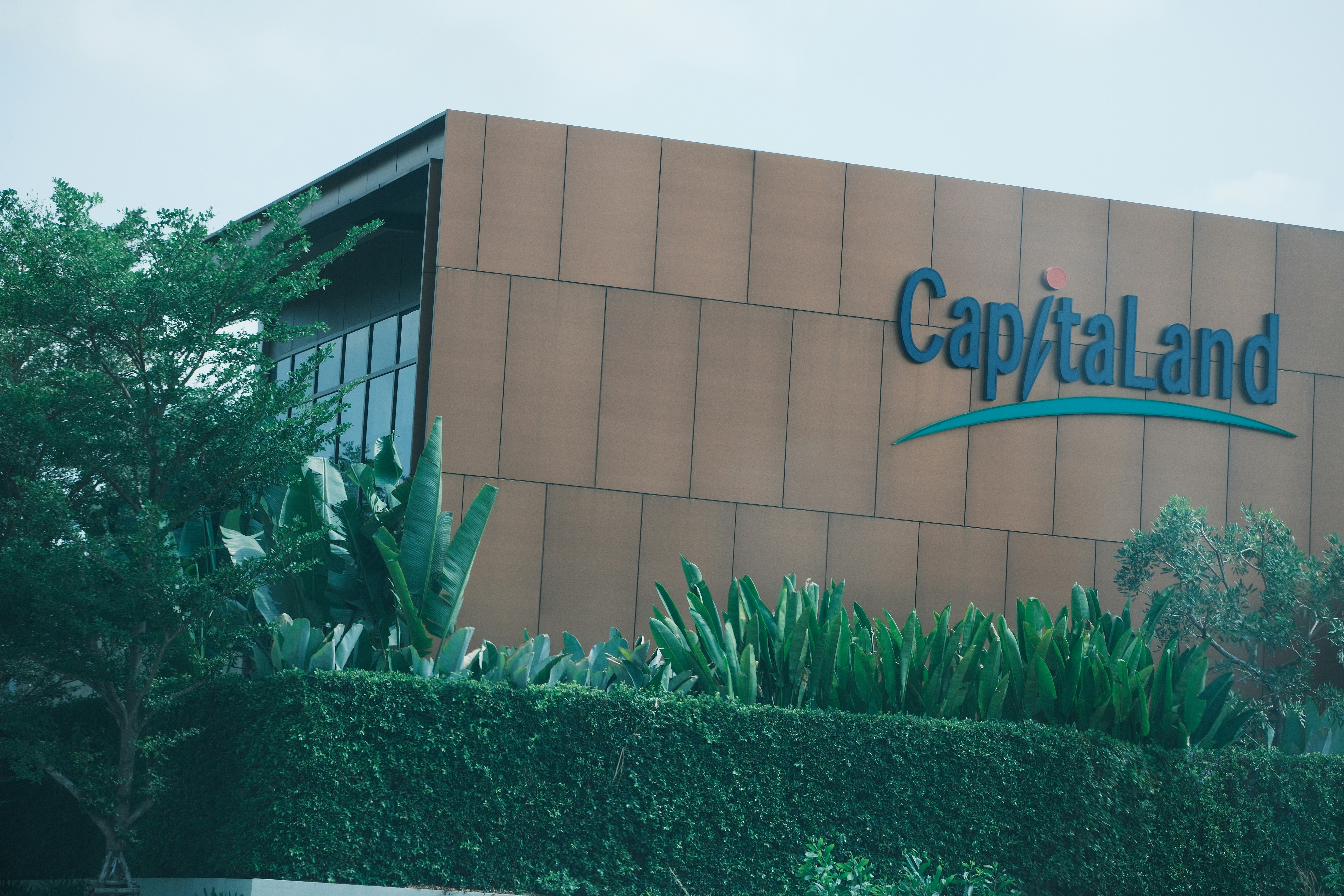 Las 20 mejores empresas de servicios de aplicaciones en Cambados