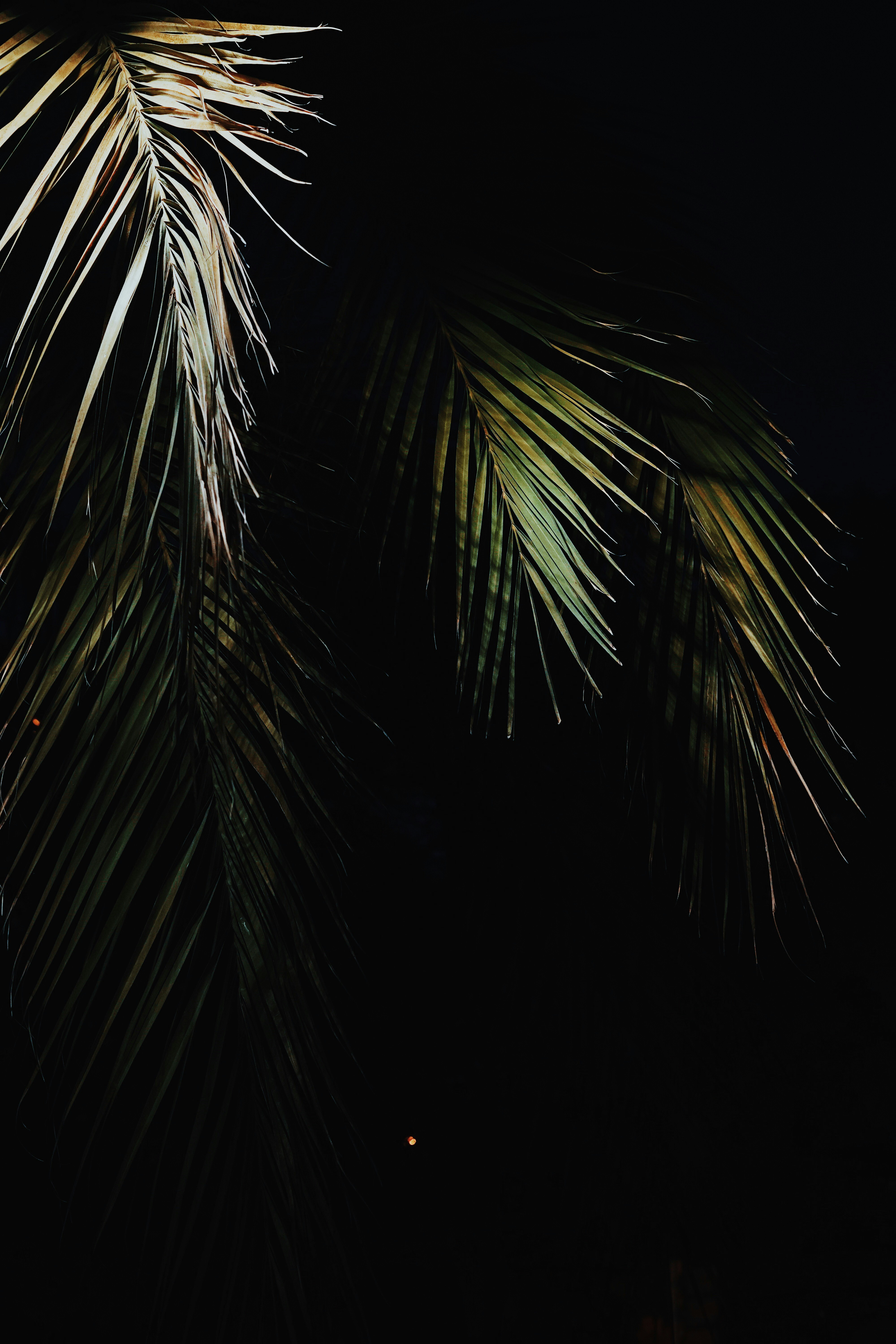 Top 15 Compañías para aplicaciones móviles en Palma