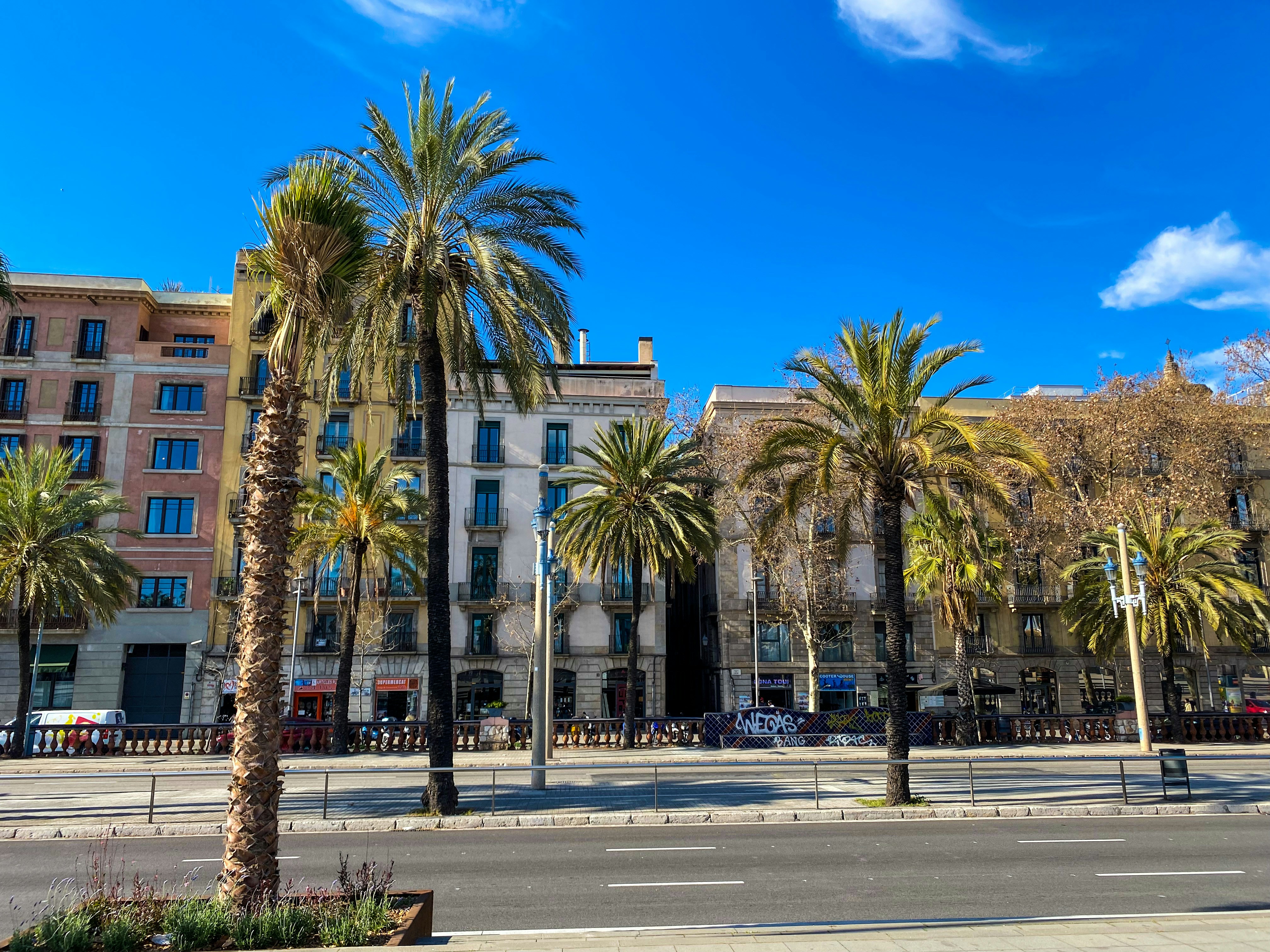 Top 10 Empresas de aplicaciones móviles en Tarragona