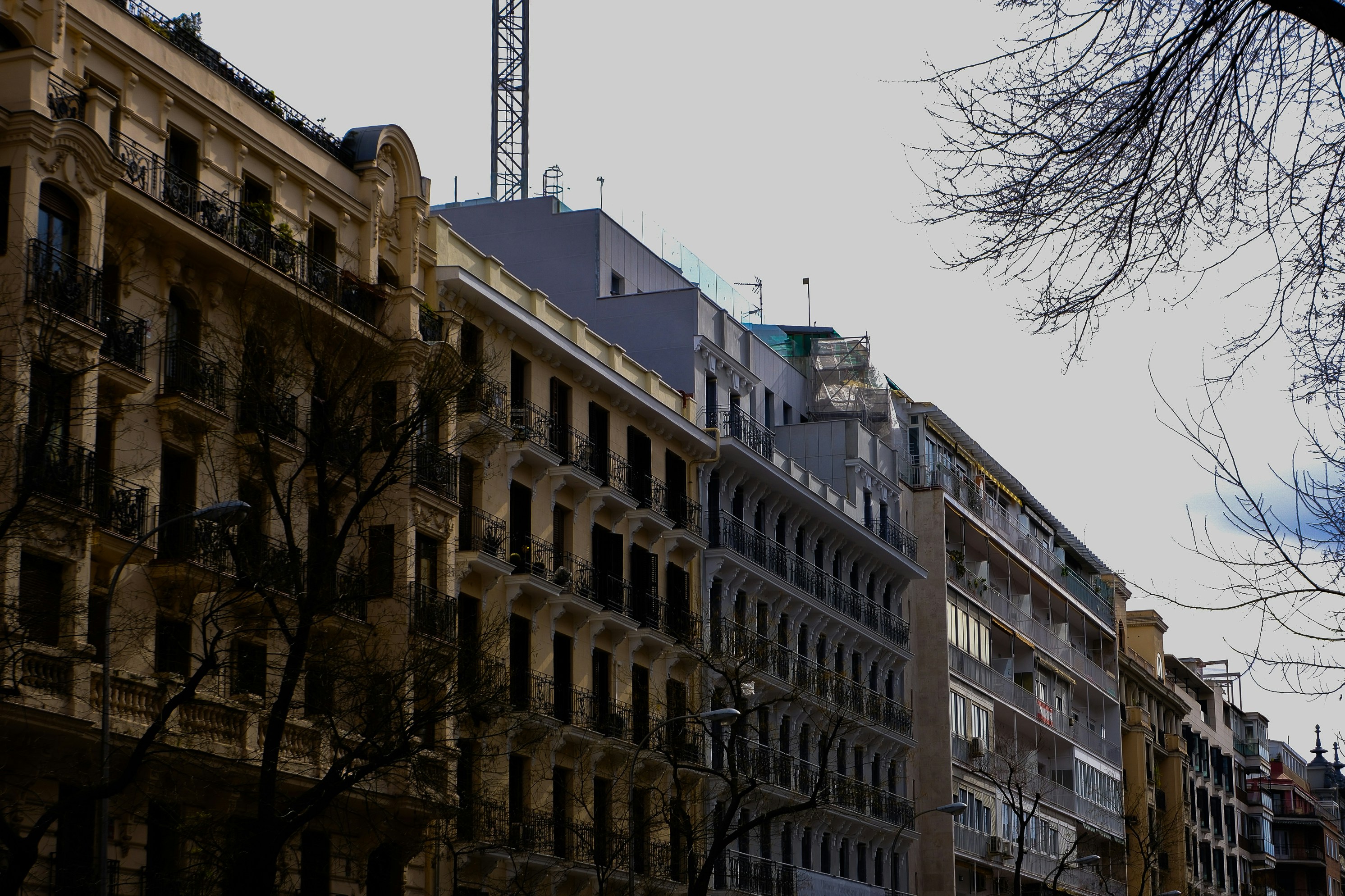 Mejores 3 empresas para automatizar el control del margen del proyecto en Madrid