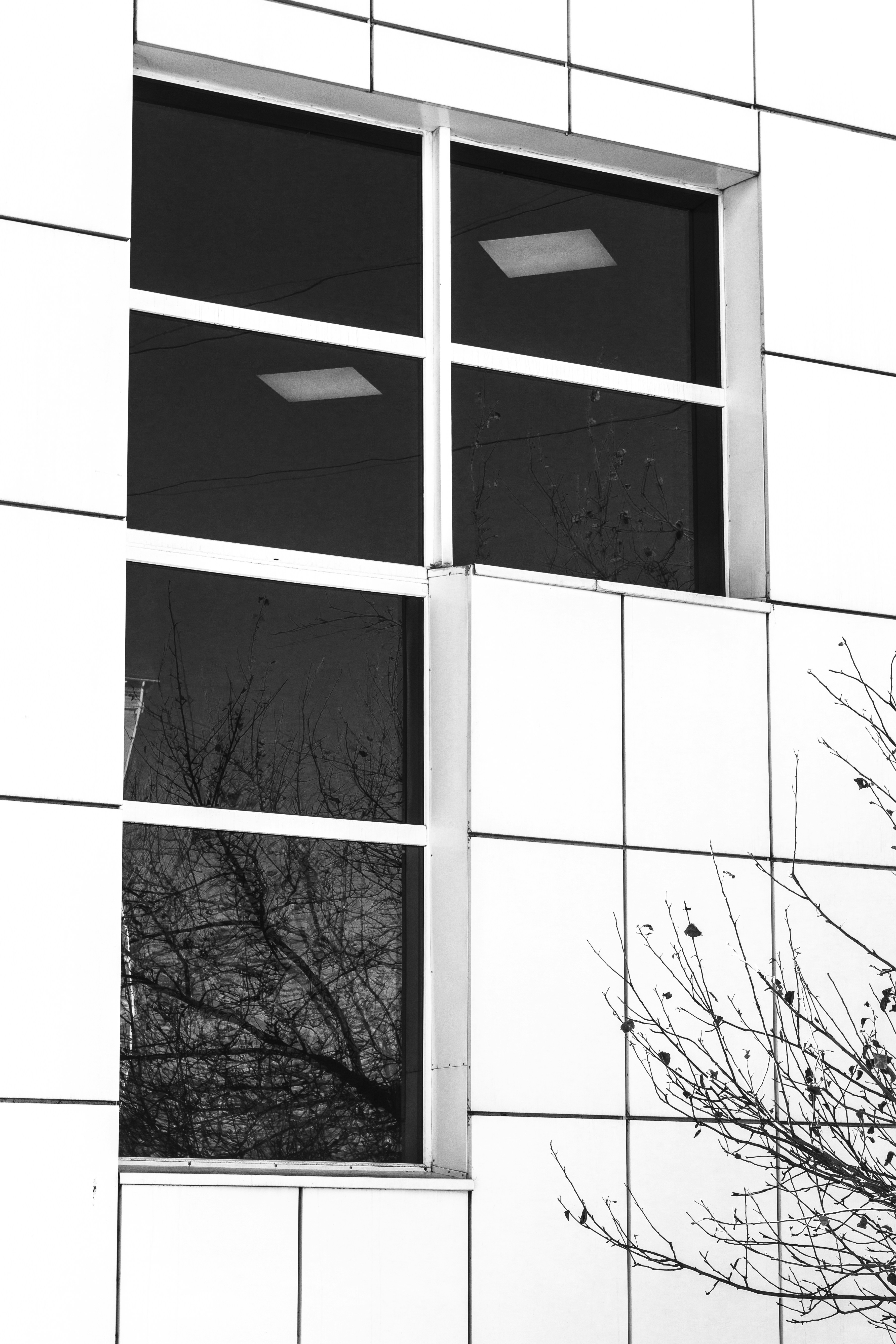 Mejores 50 empresas para el desarrollo de flujos de trabajo n8n en Logroño