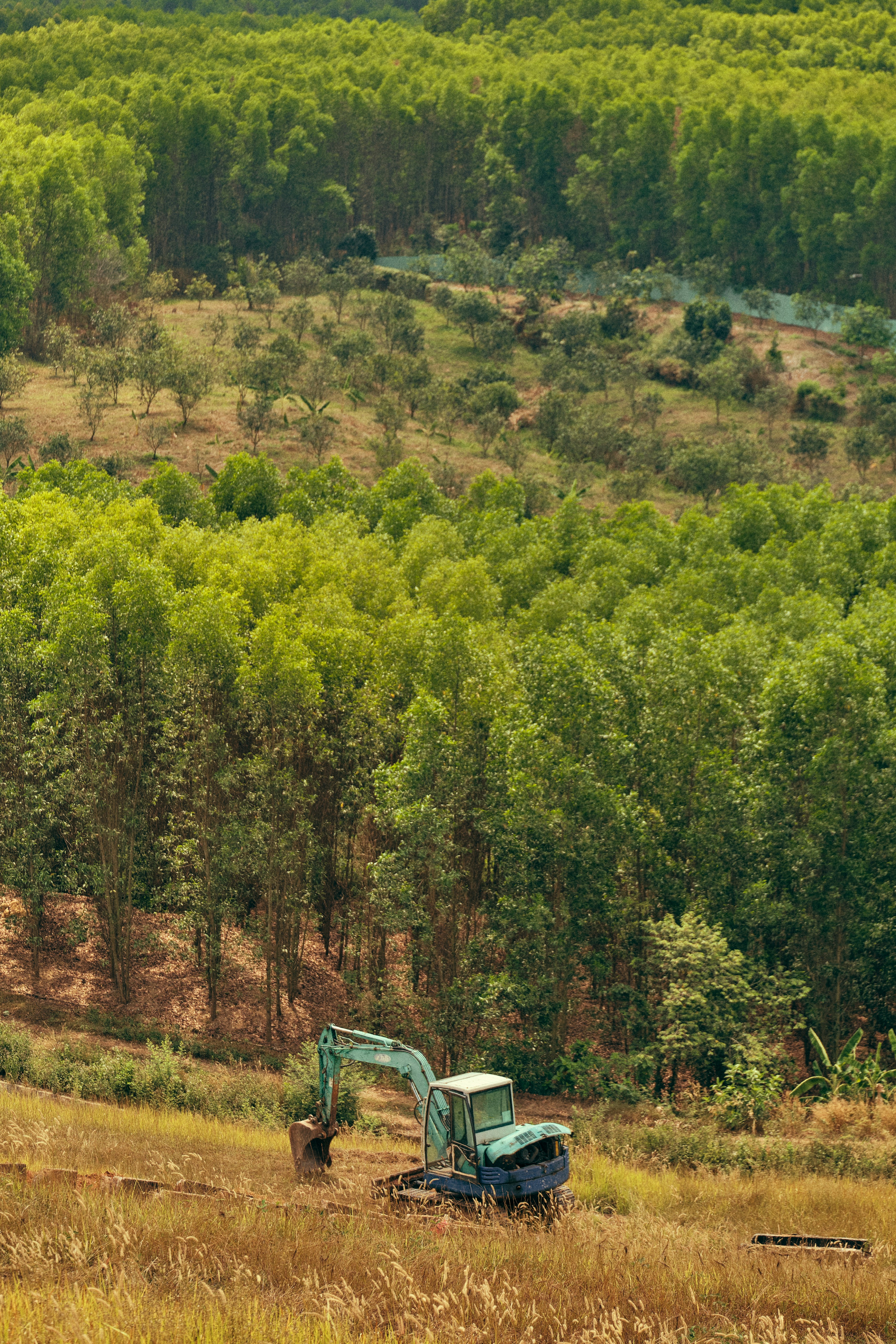Top 10 Empresas para gobernar la codificación de ambiente para empresas en Palma