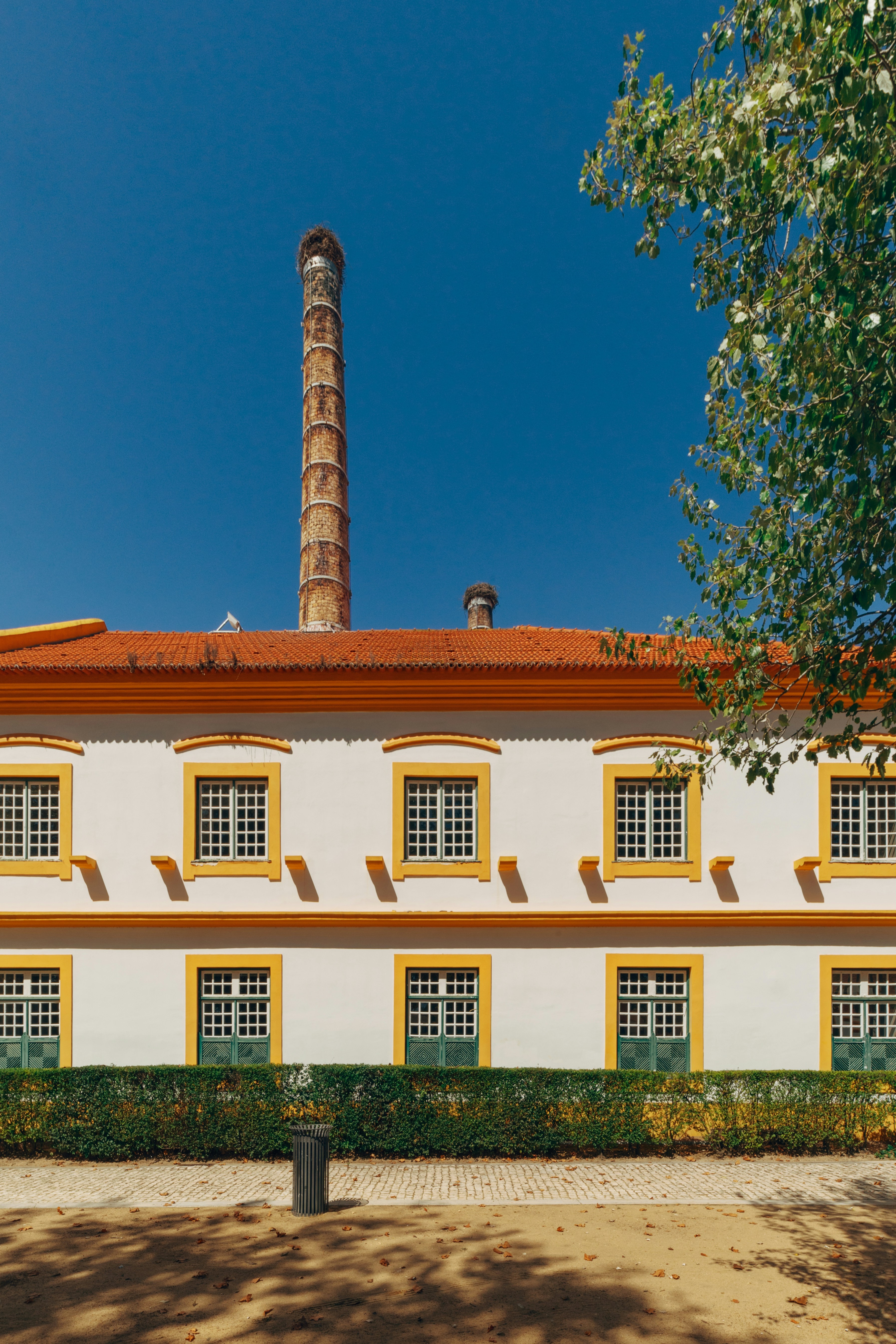 Mejores 10 empresas para Power BI en Alcázar de San Juan